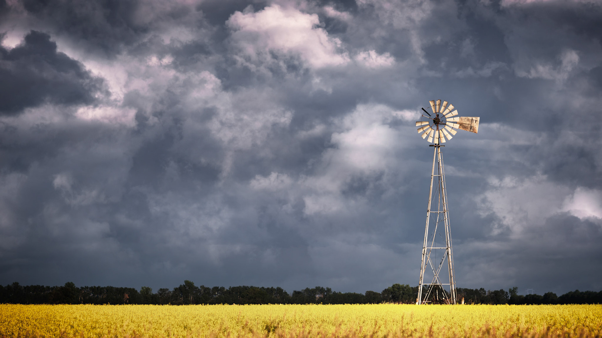 Quiet Before The Storm