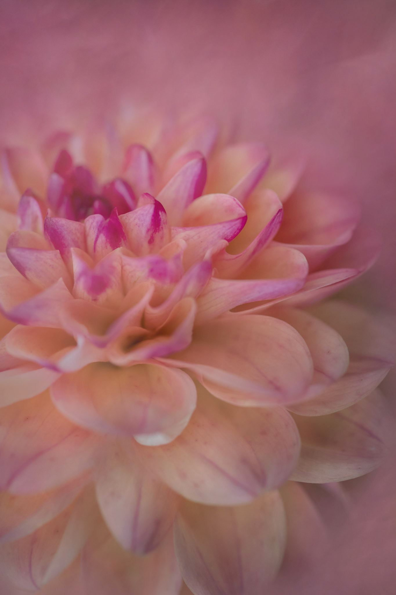 Soft Touch