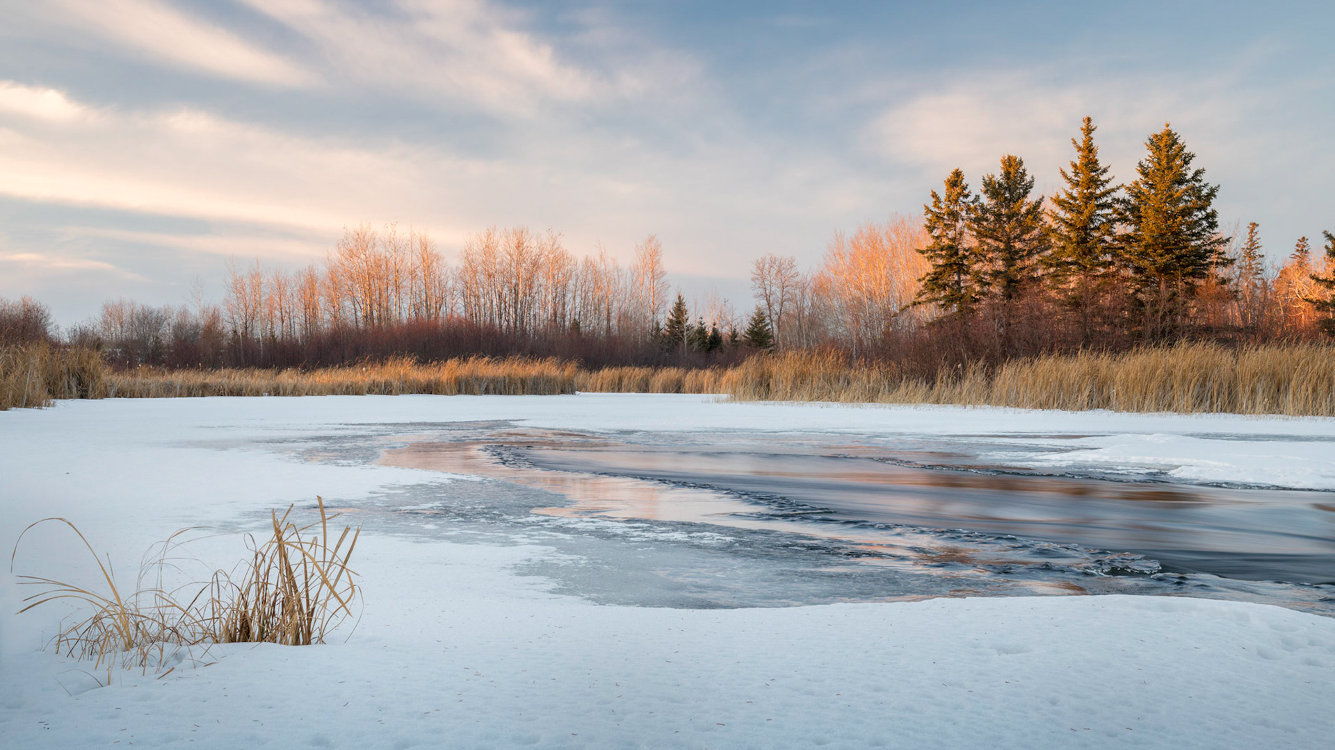 Winter Sunset
