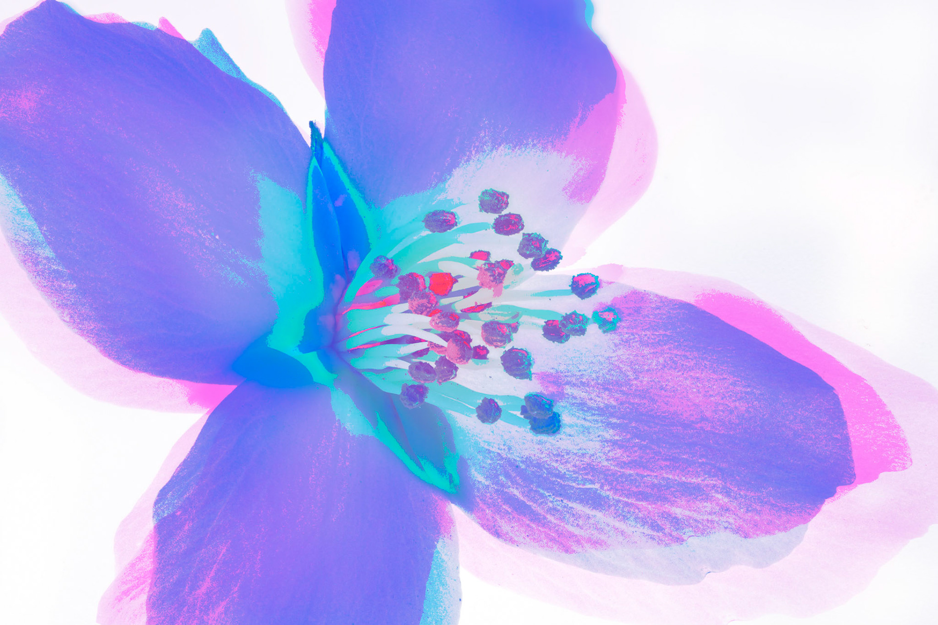 Purple Light II