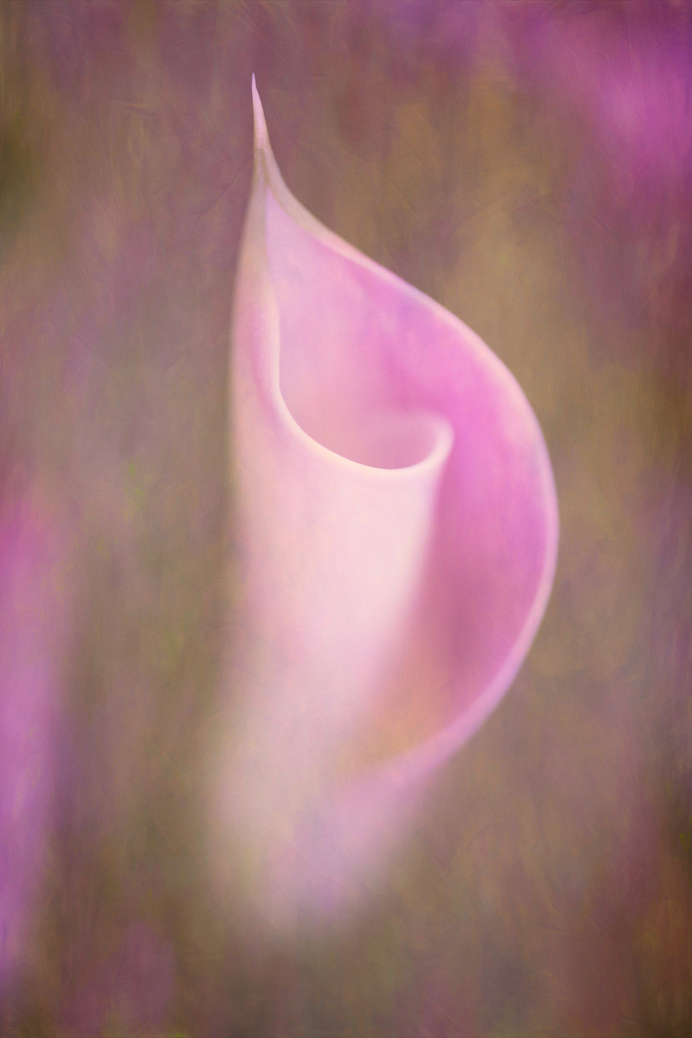 Curves I