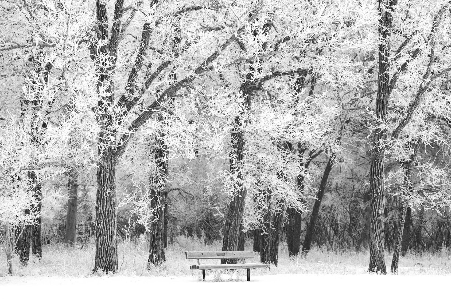 Waiting for Someone