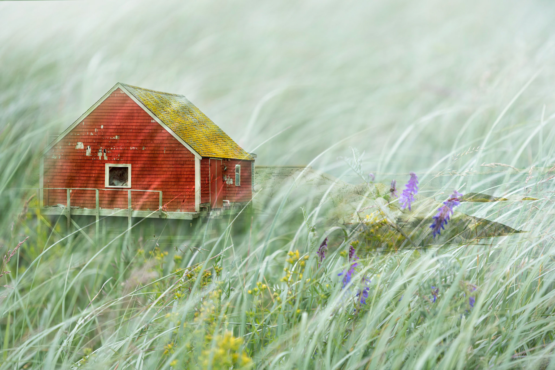 Red House I