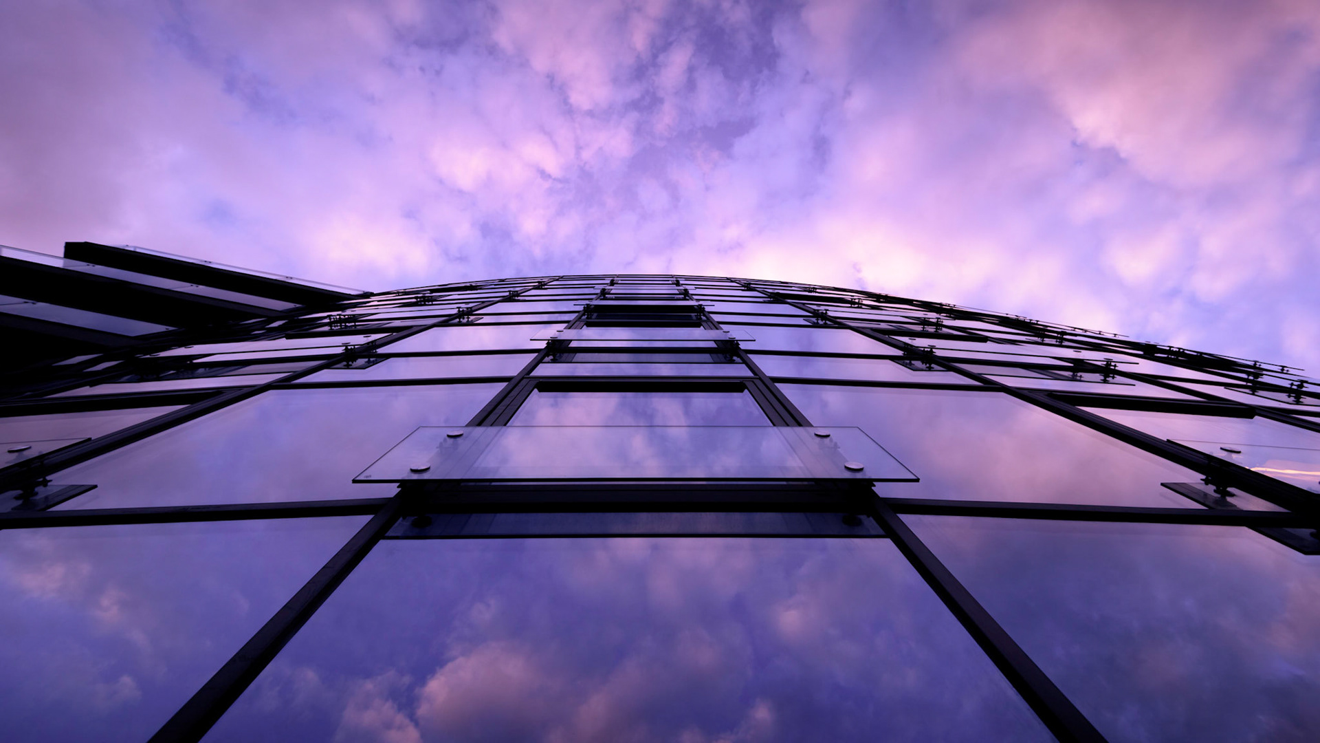 Looking Up