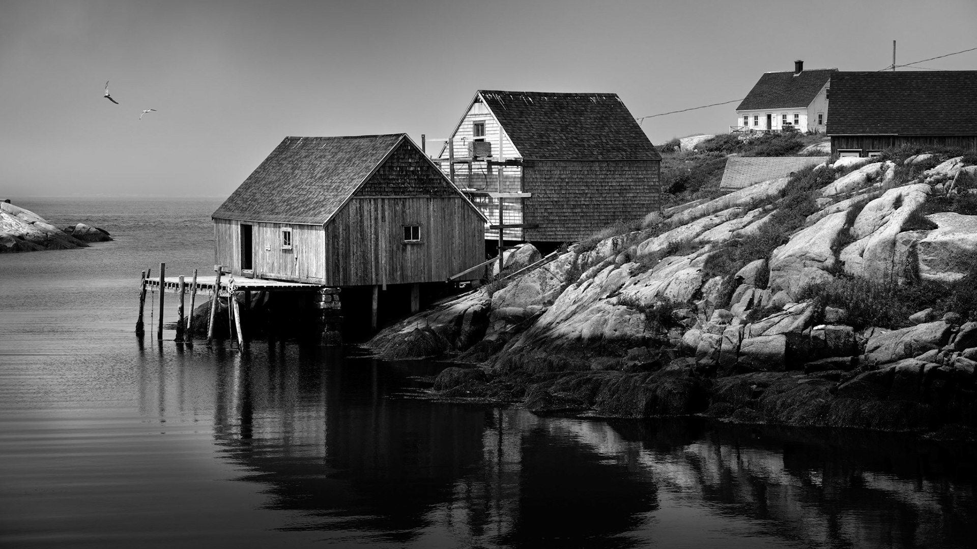 Life by the Sea