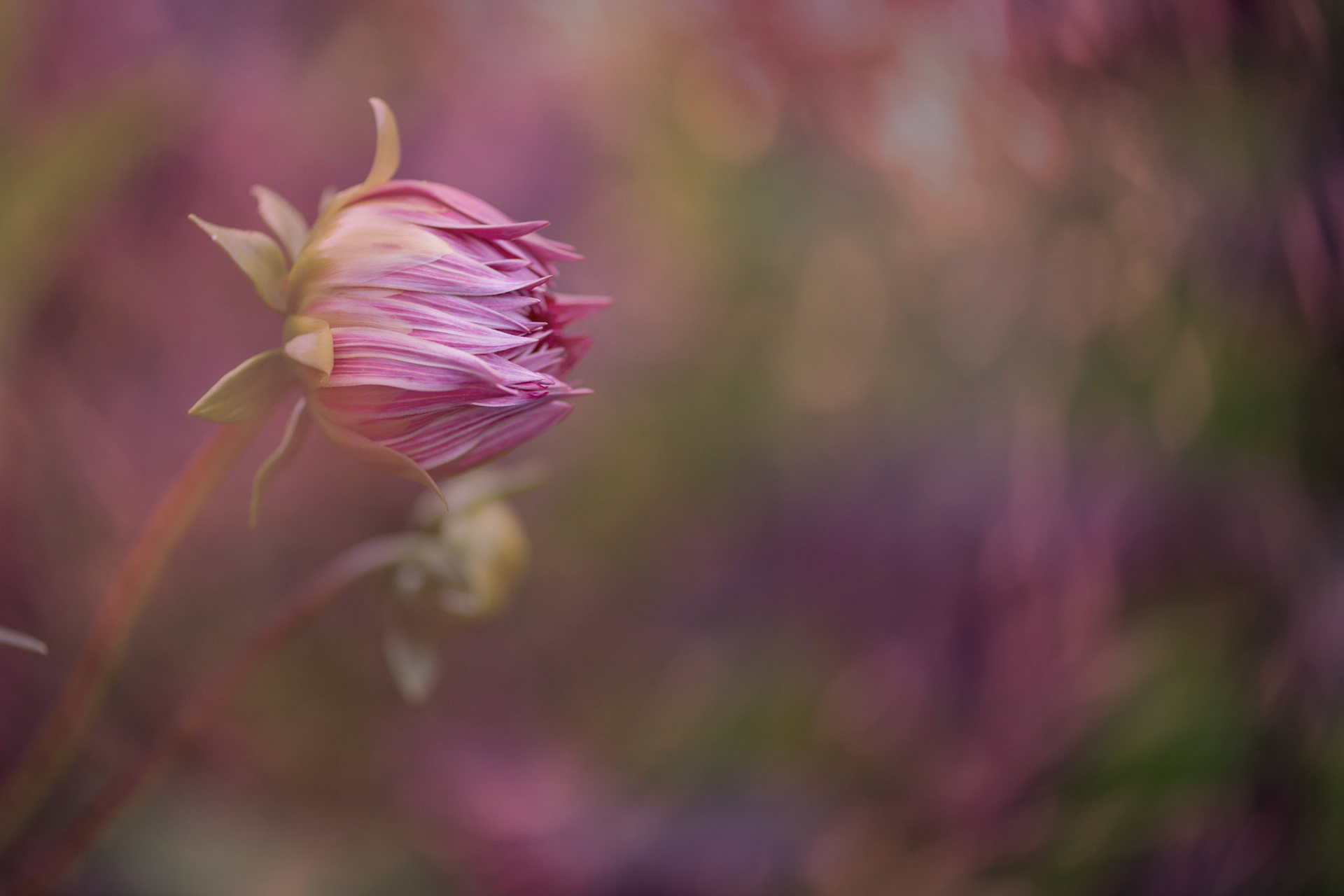 Opening Up II
