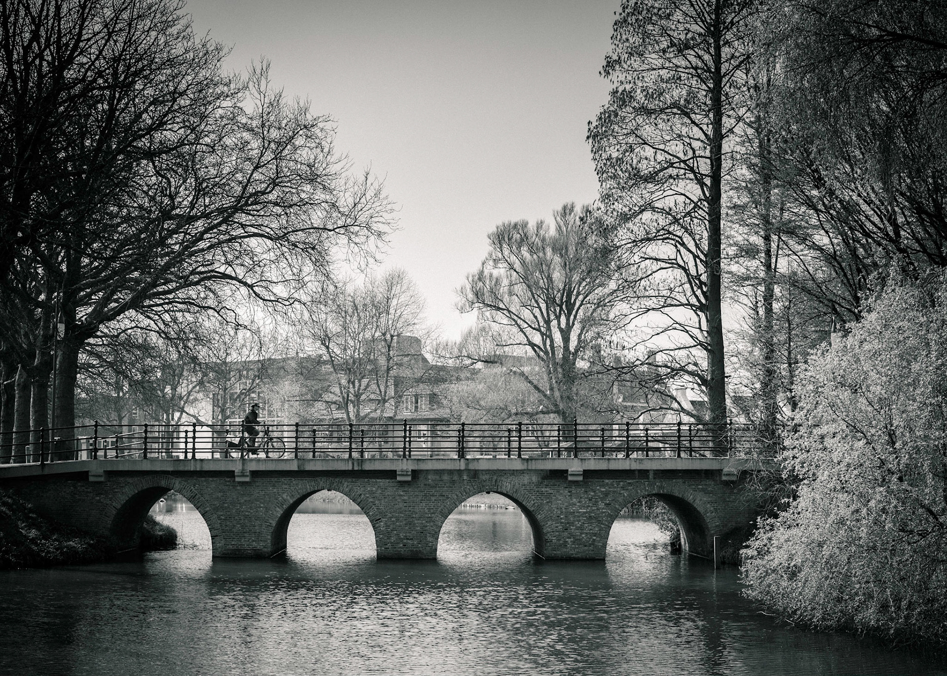 Bridge in the Park