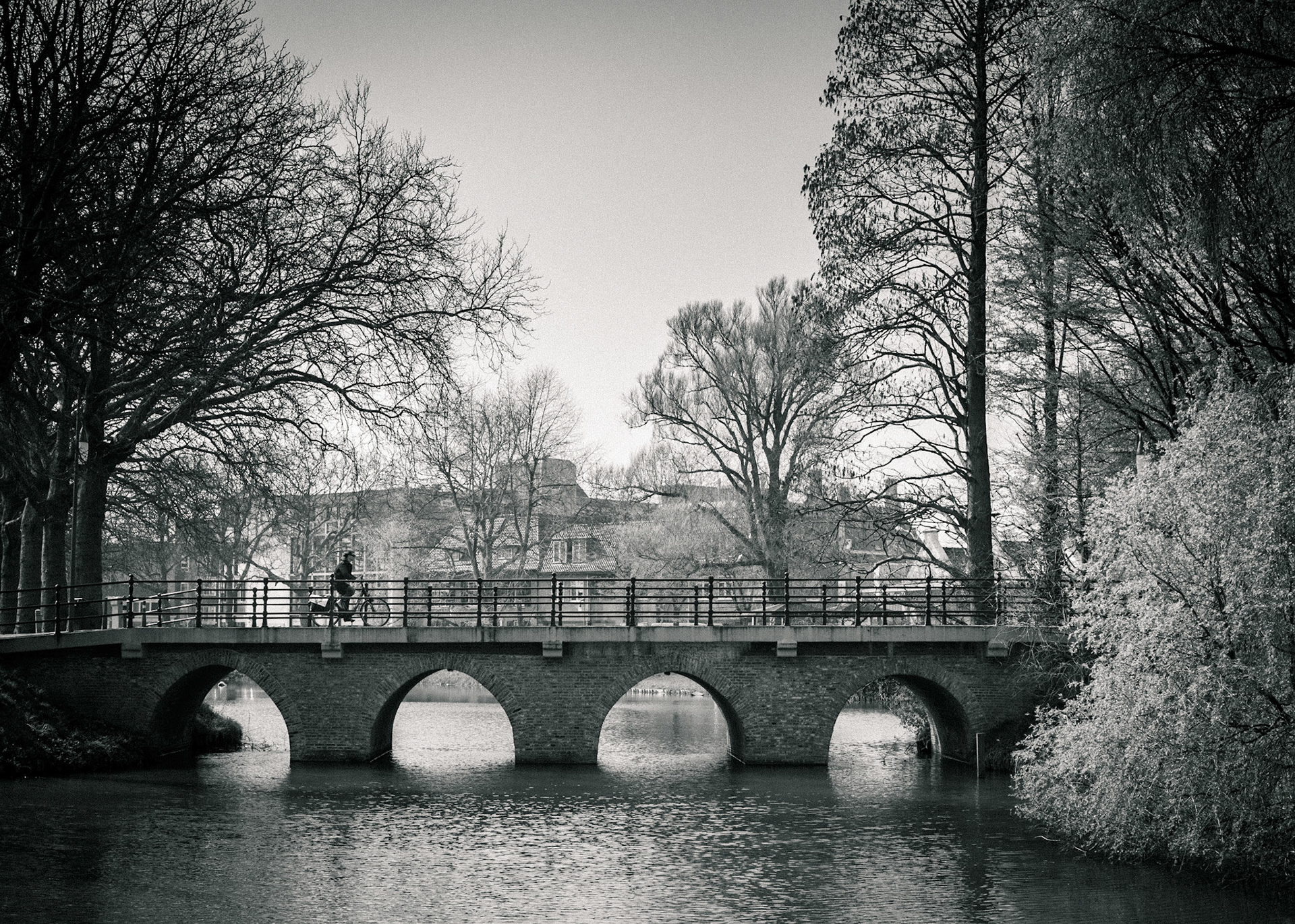 Bridge in the Park