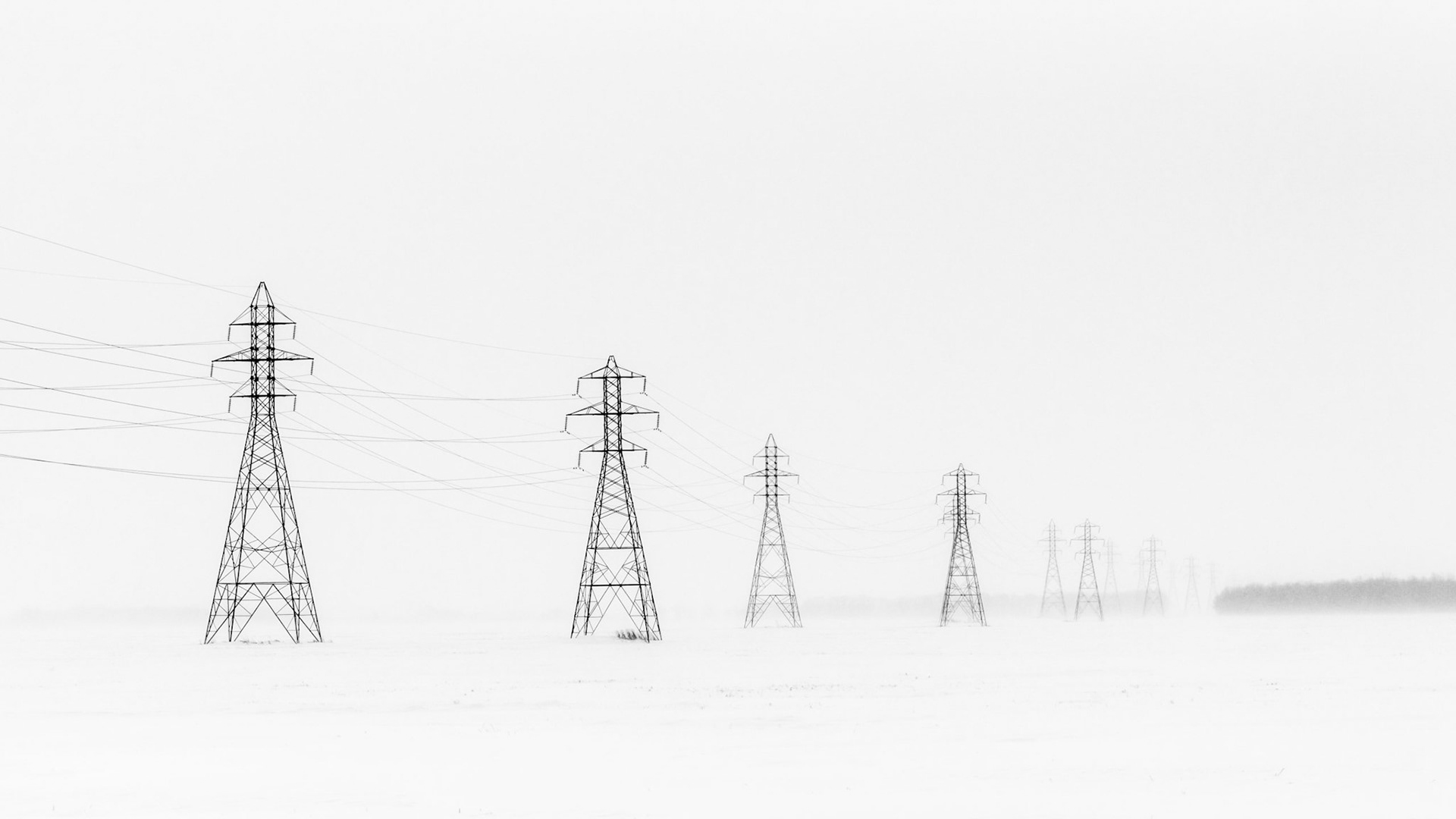 Power Lines in Blizzard II