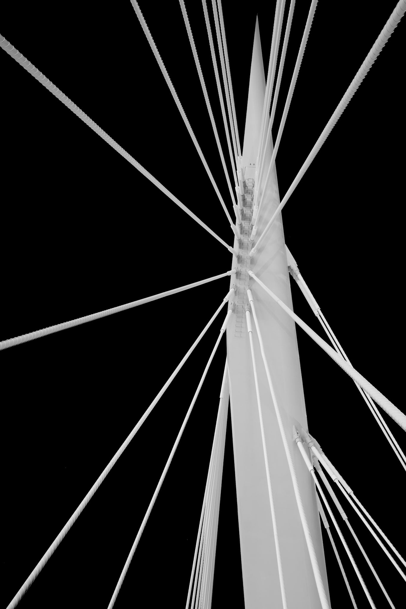 Dream Catcher