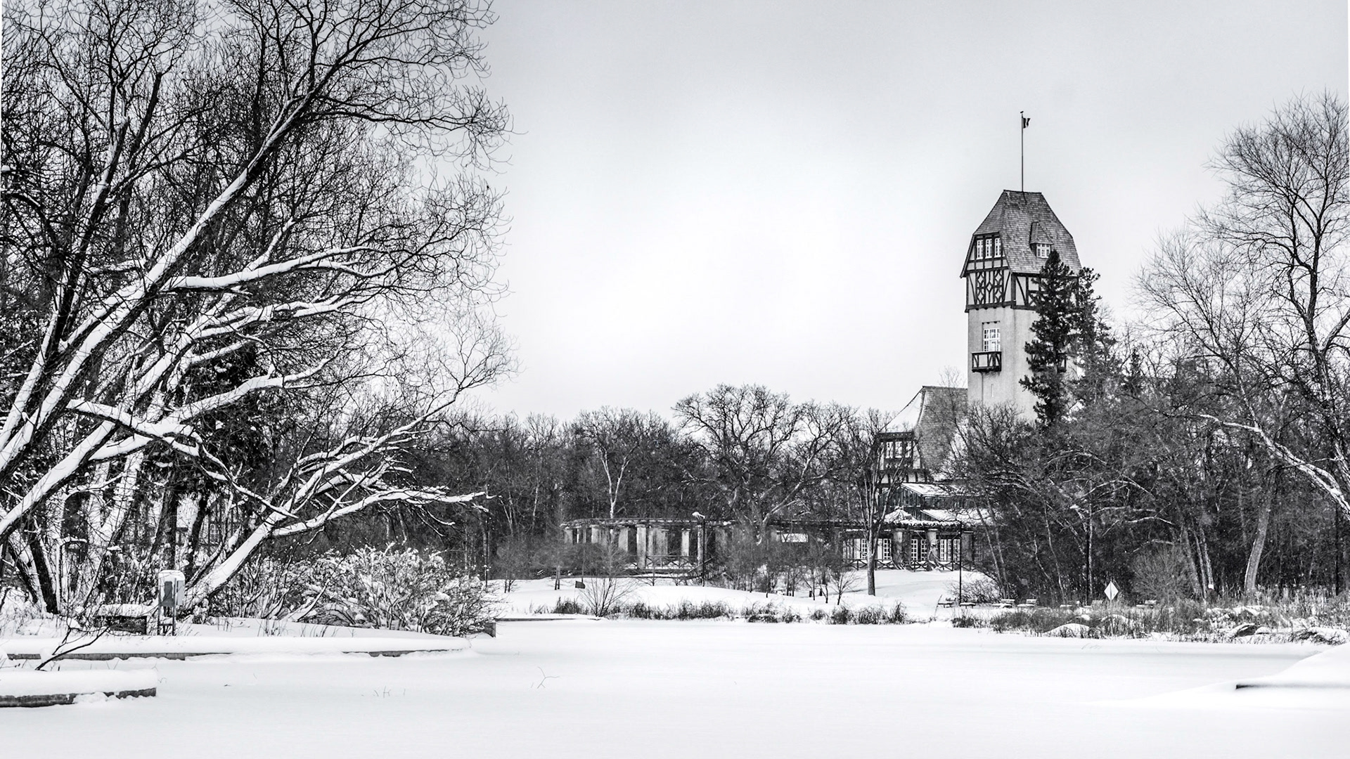 Winter in the Park