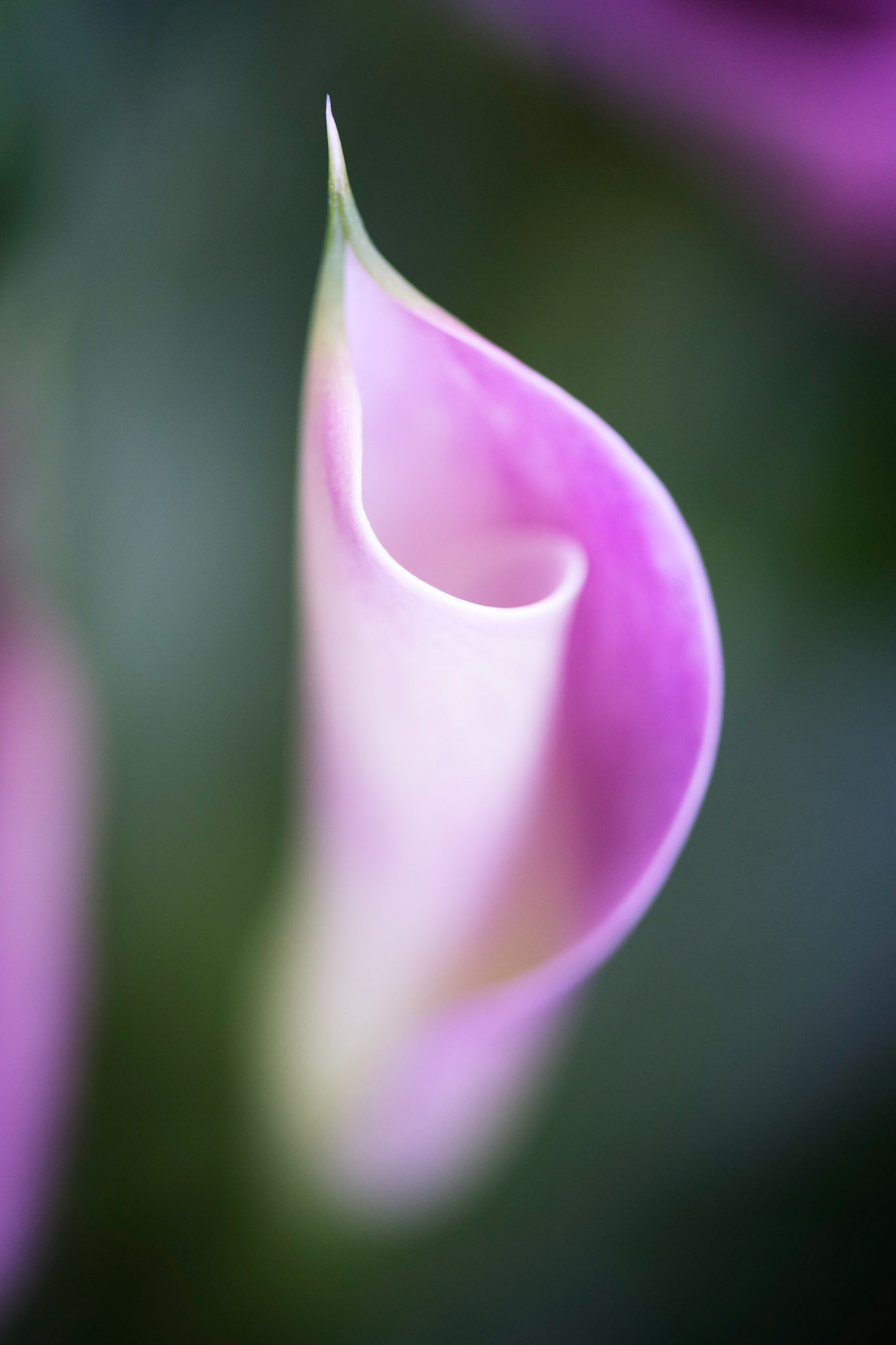 Curves I