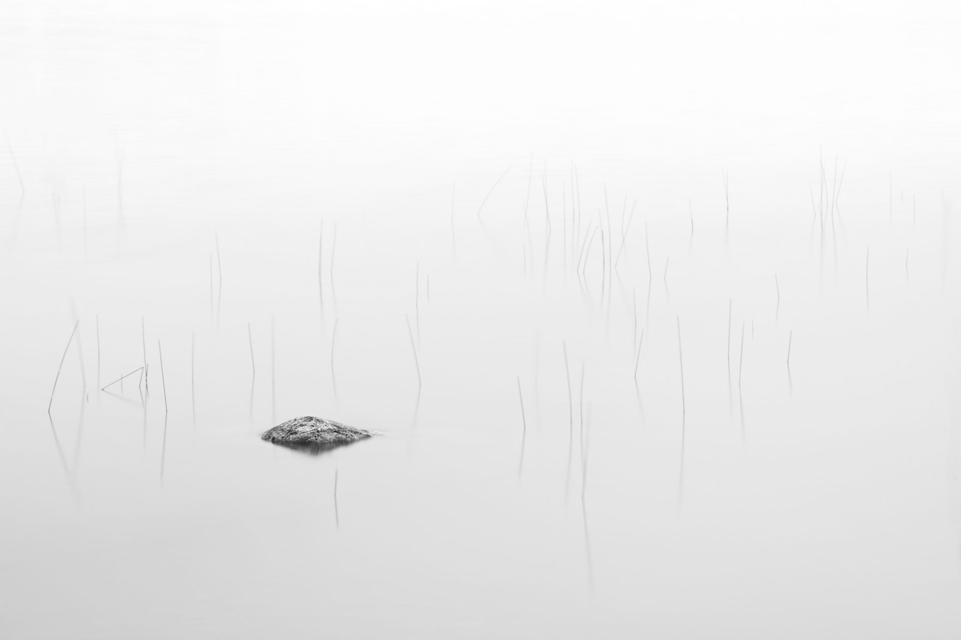 Quiet Morning