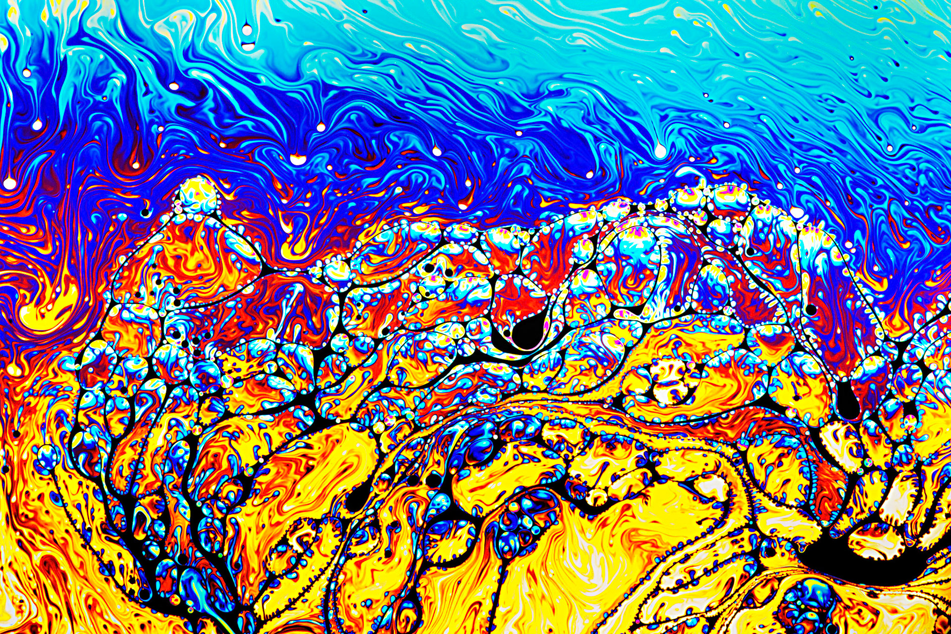 Morning Surf I