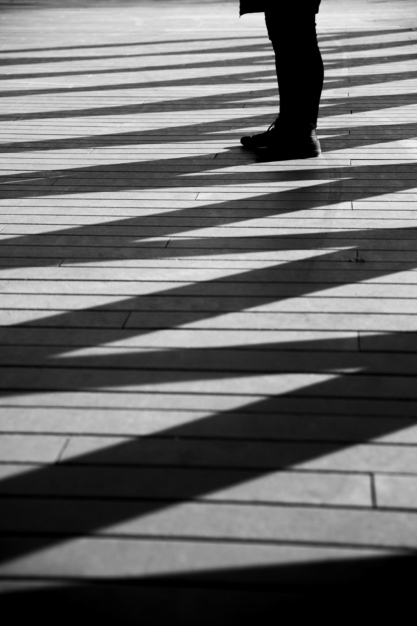On the Line