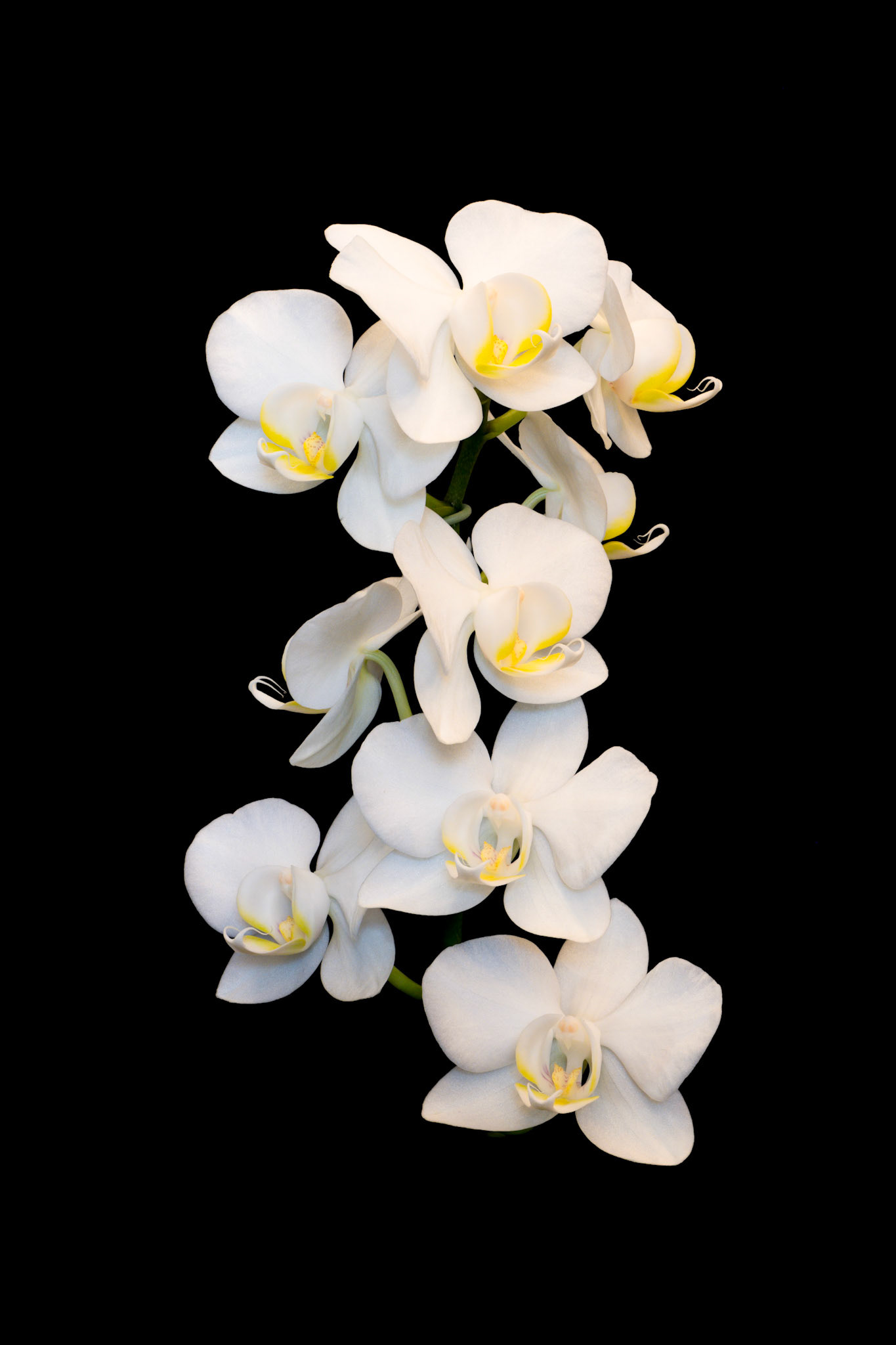 30 image stack