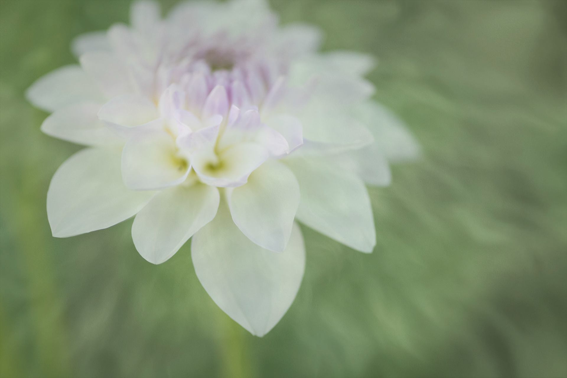 Gentle Touch