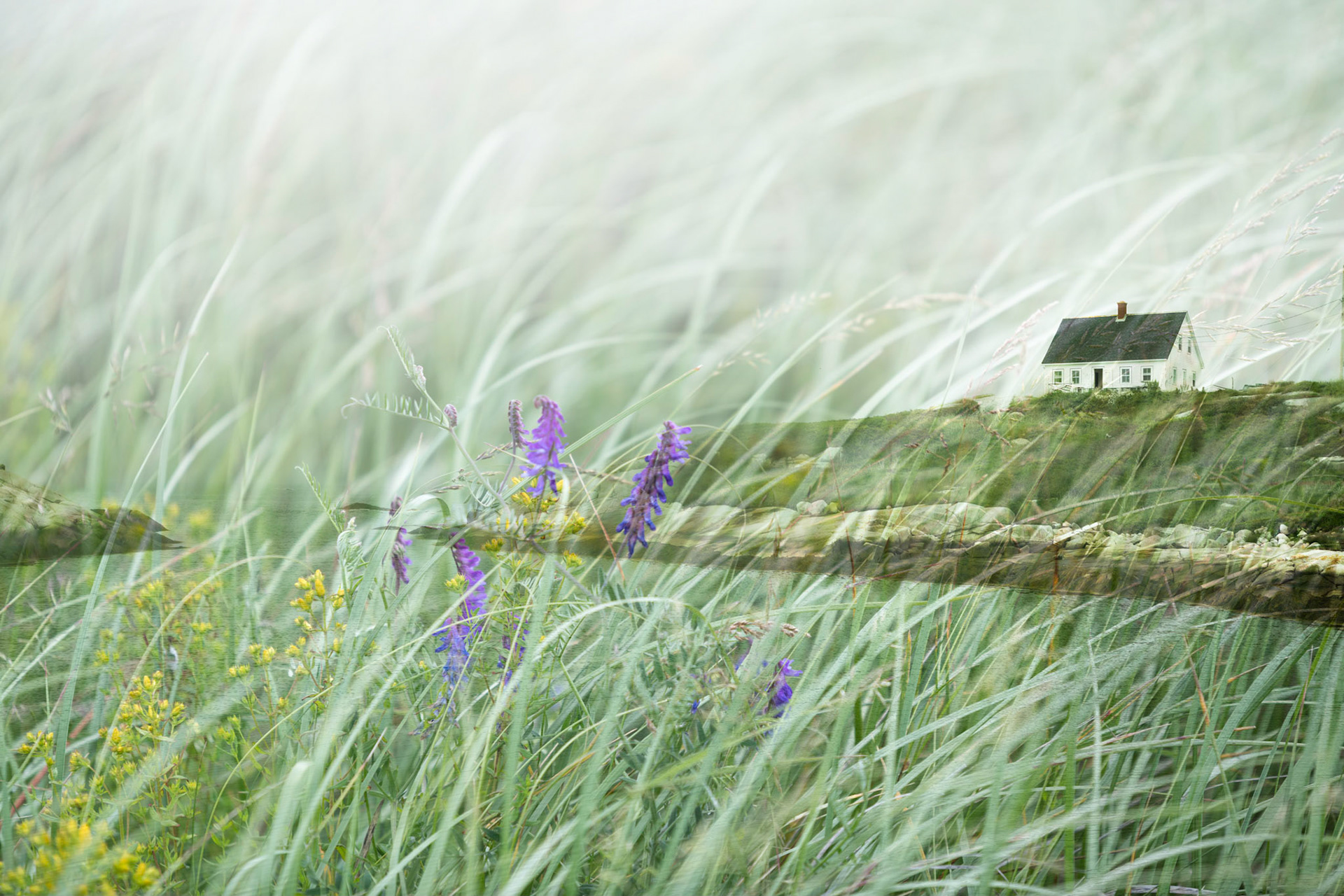 Fisherman's House I