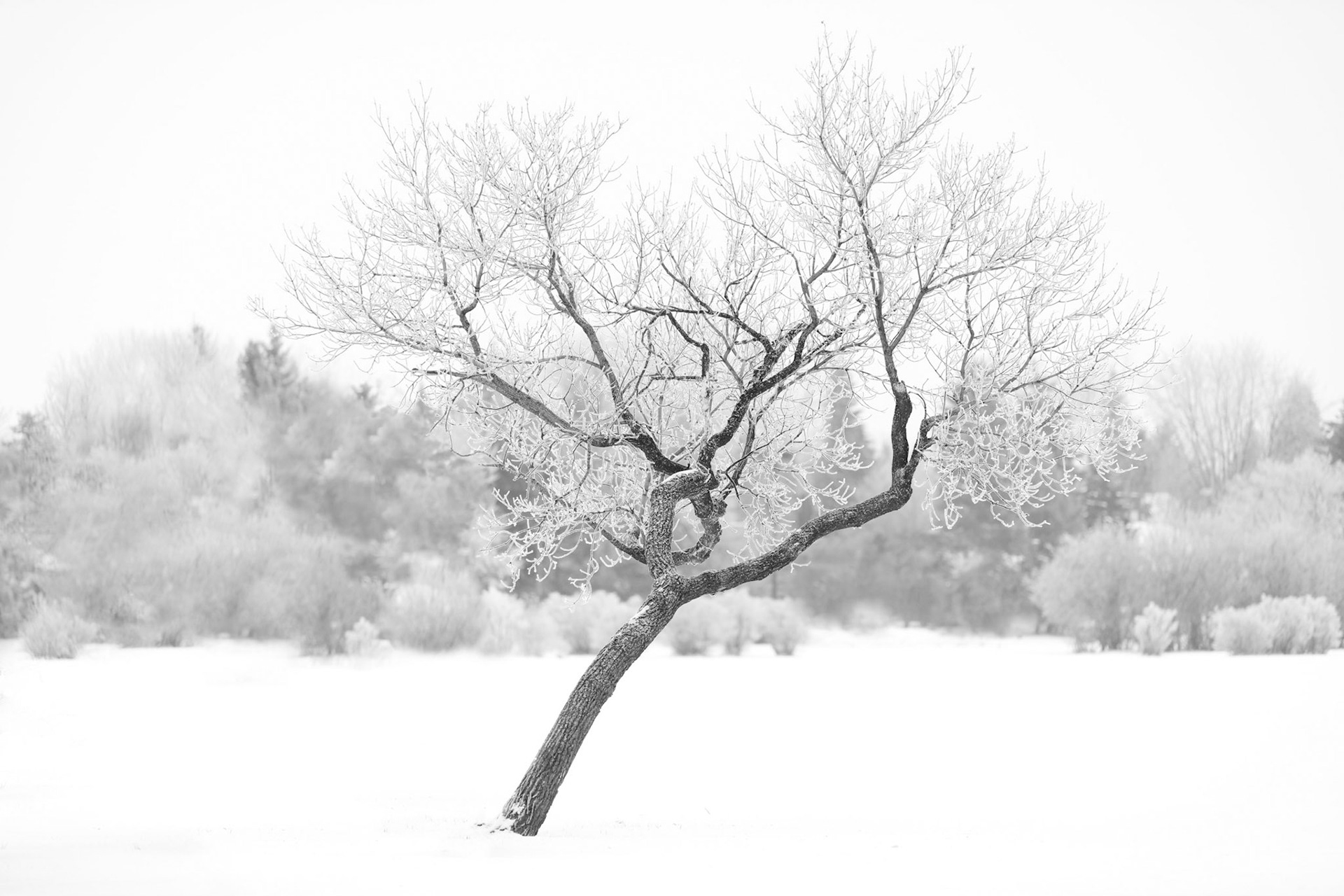 Surviving Alone I