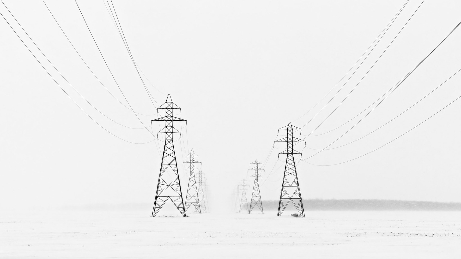 Power Lines in Blizzard I