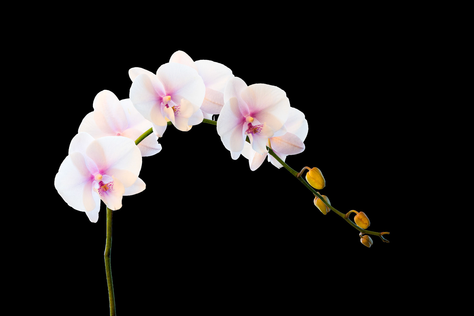 30 image stack