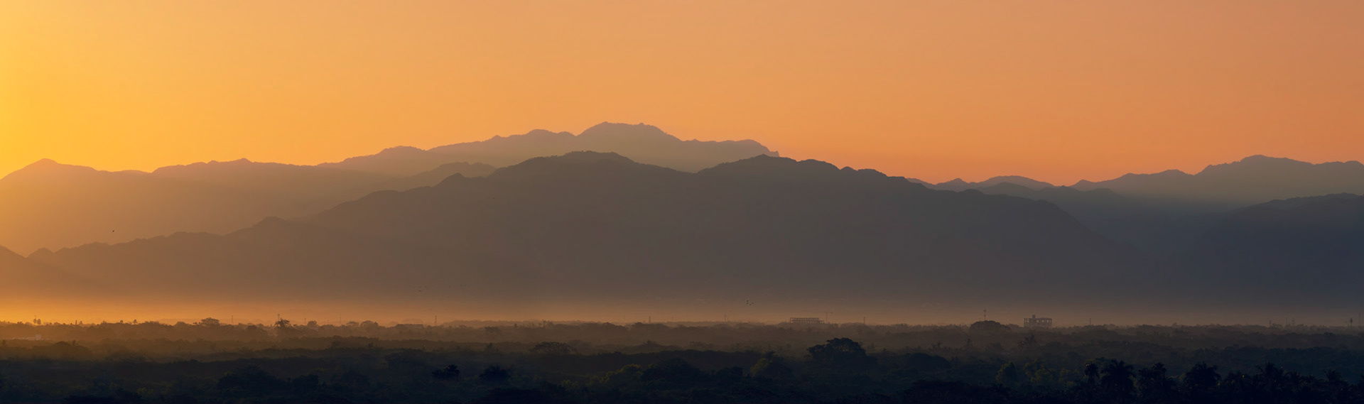 Morning Glow II