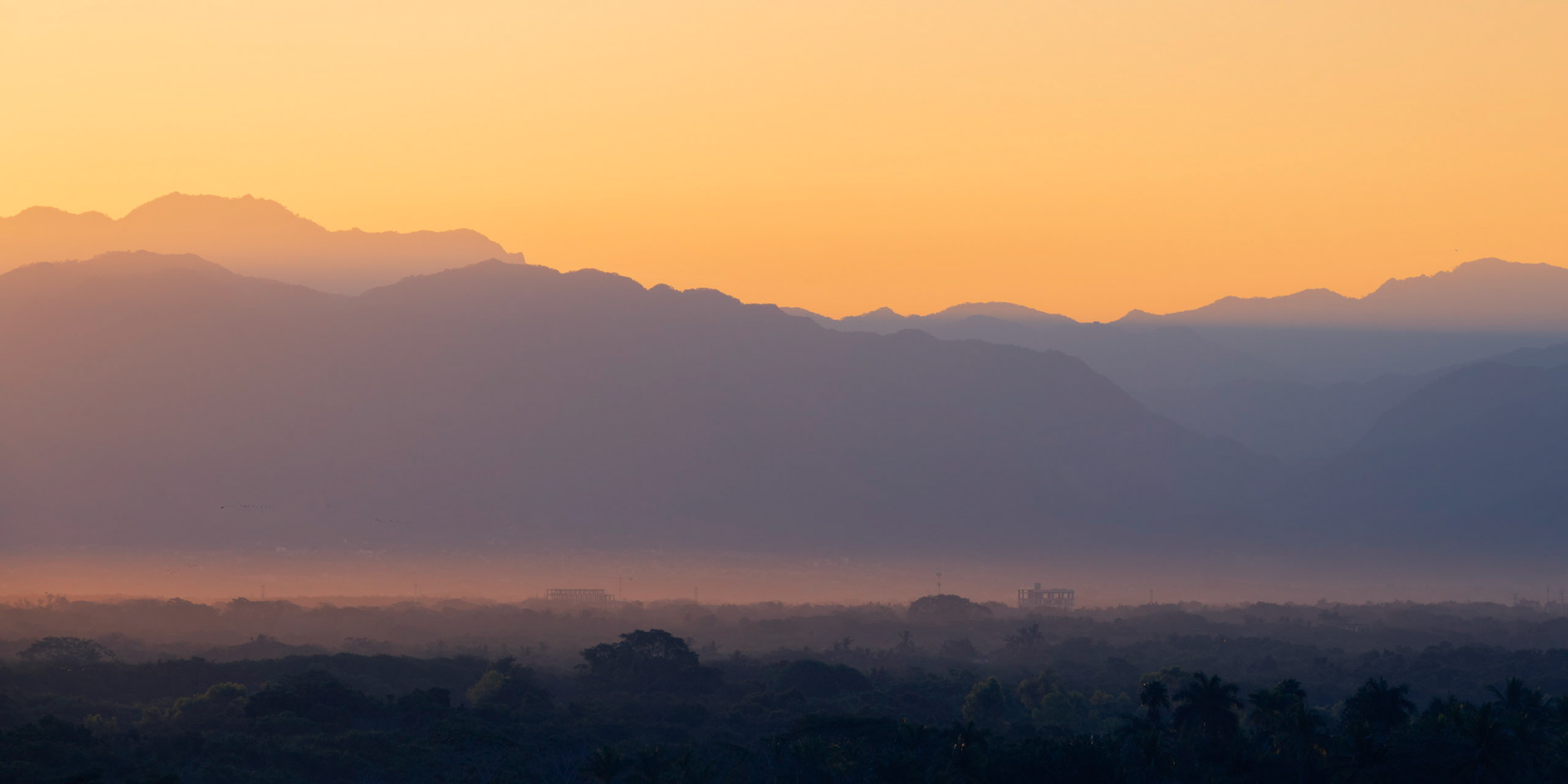 Morning Glow I