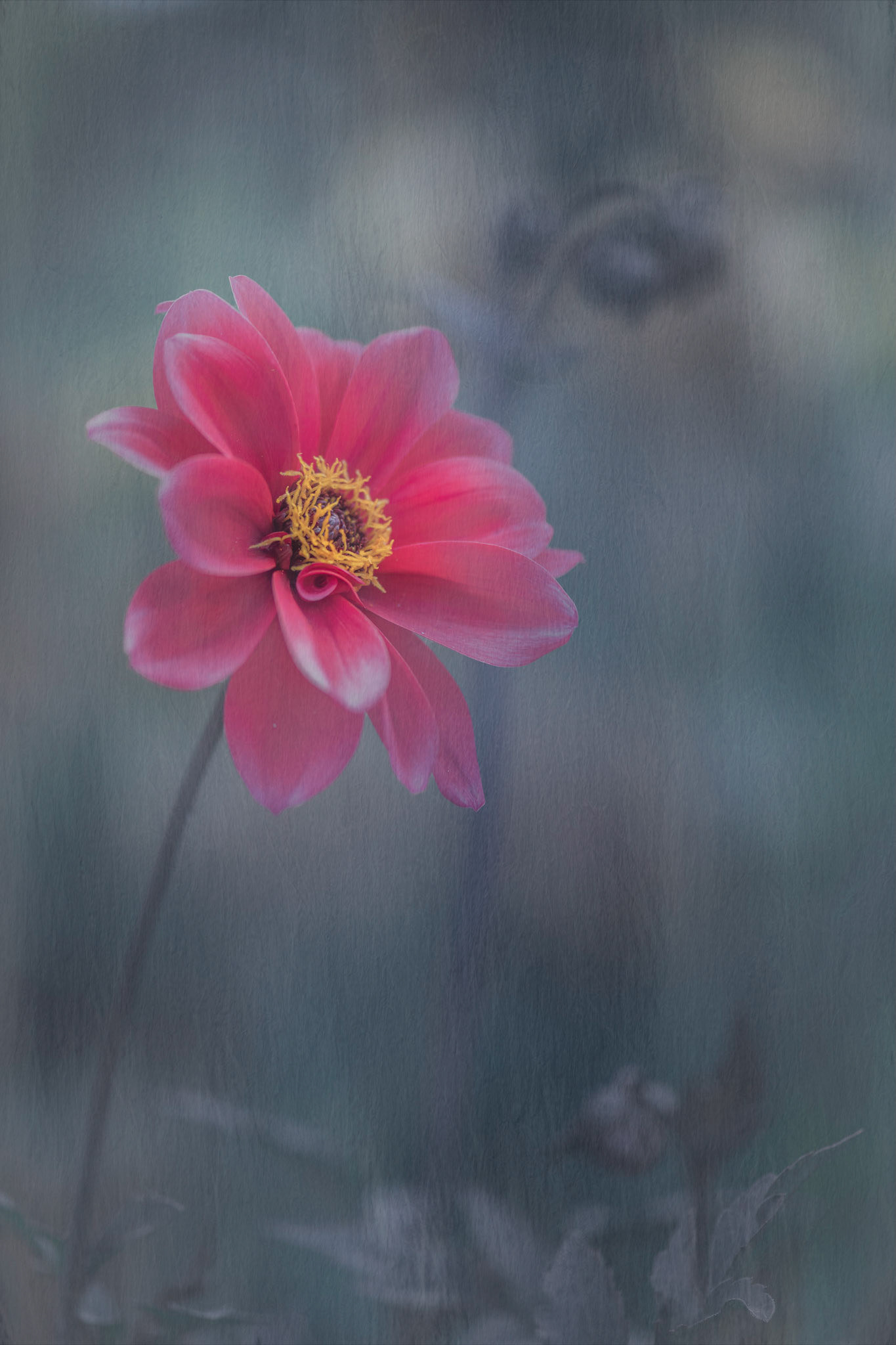 In the Rain