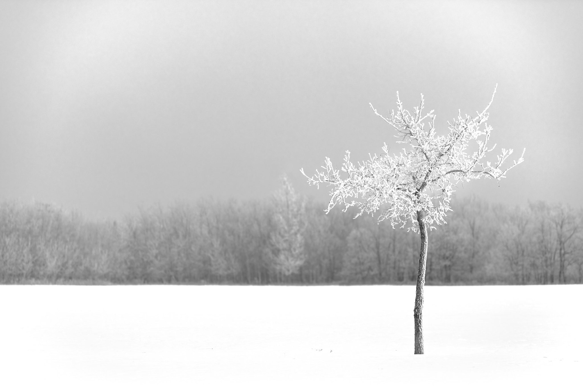 Surviving Alone III