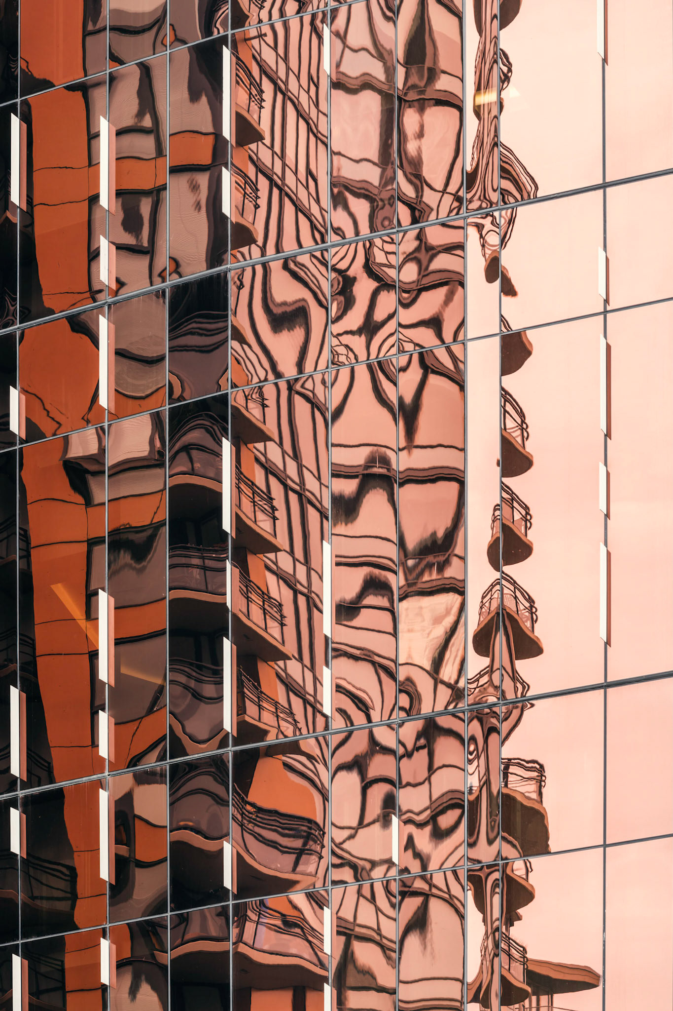 Reflecting Life II