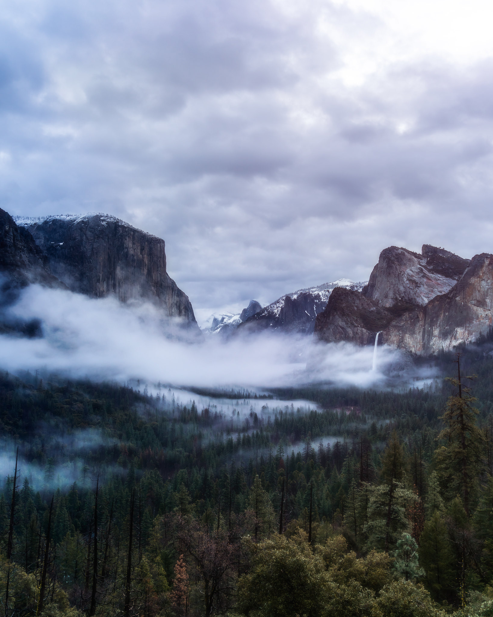 Foggy Valley