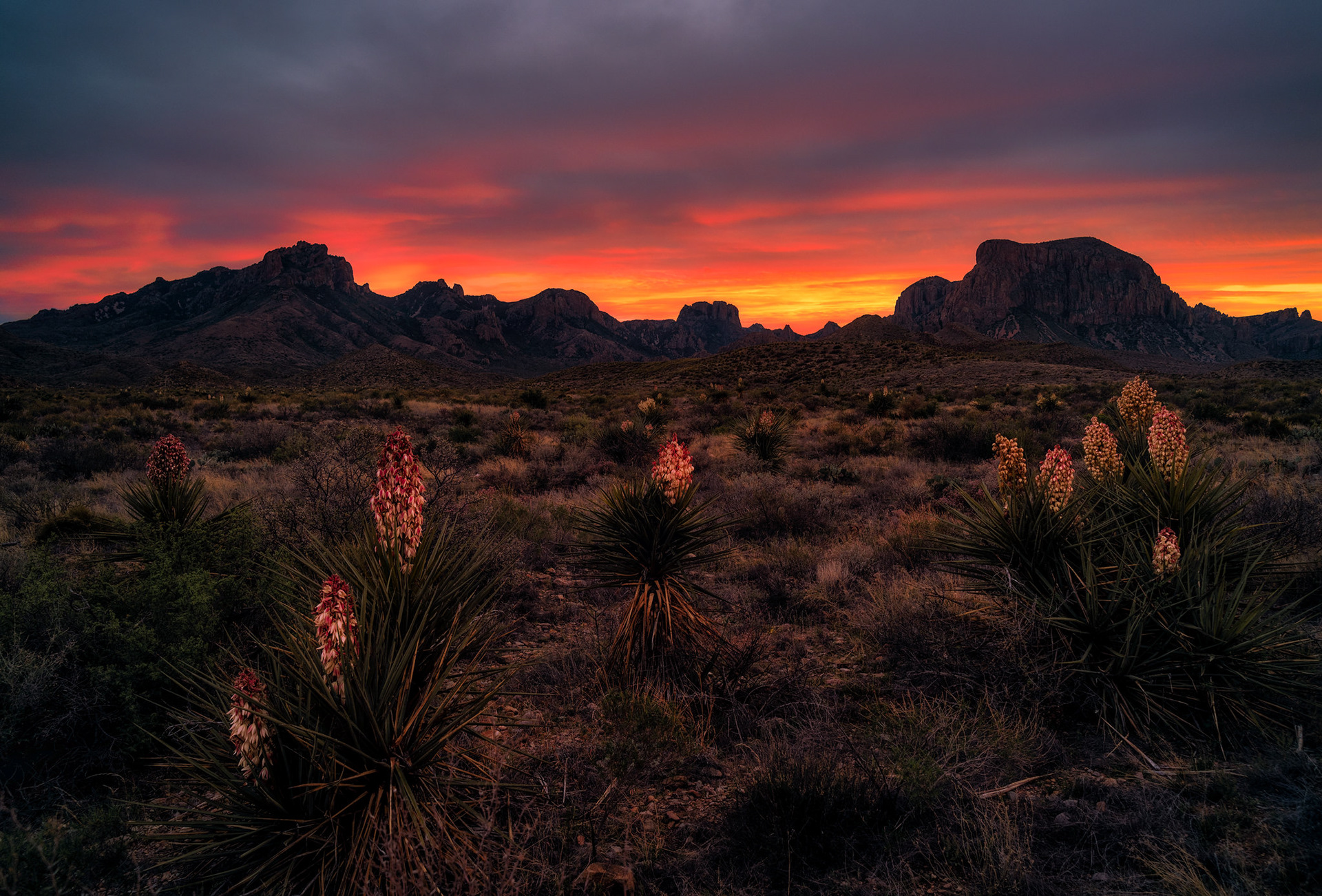 Big Bend Afterglow