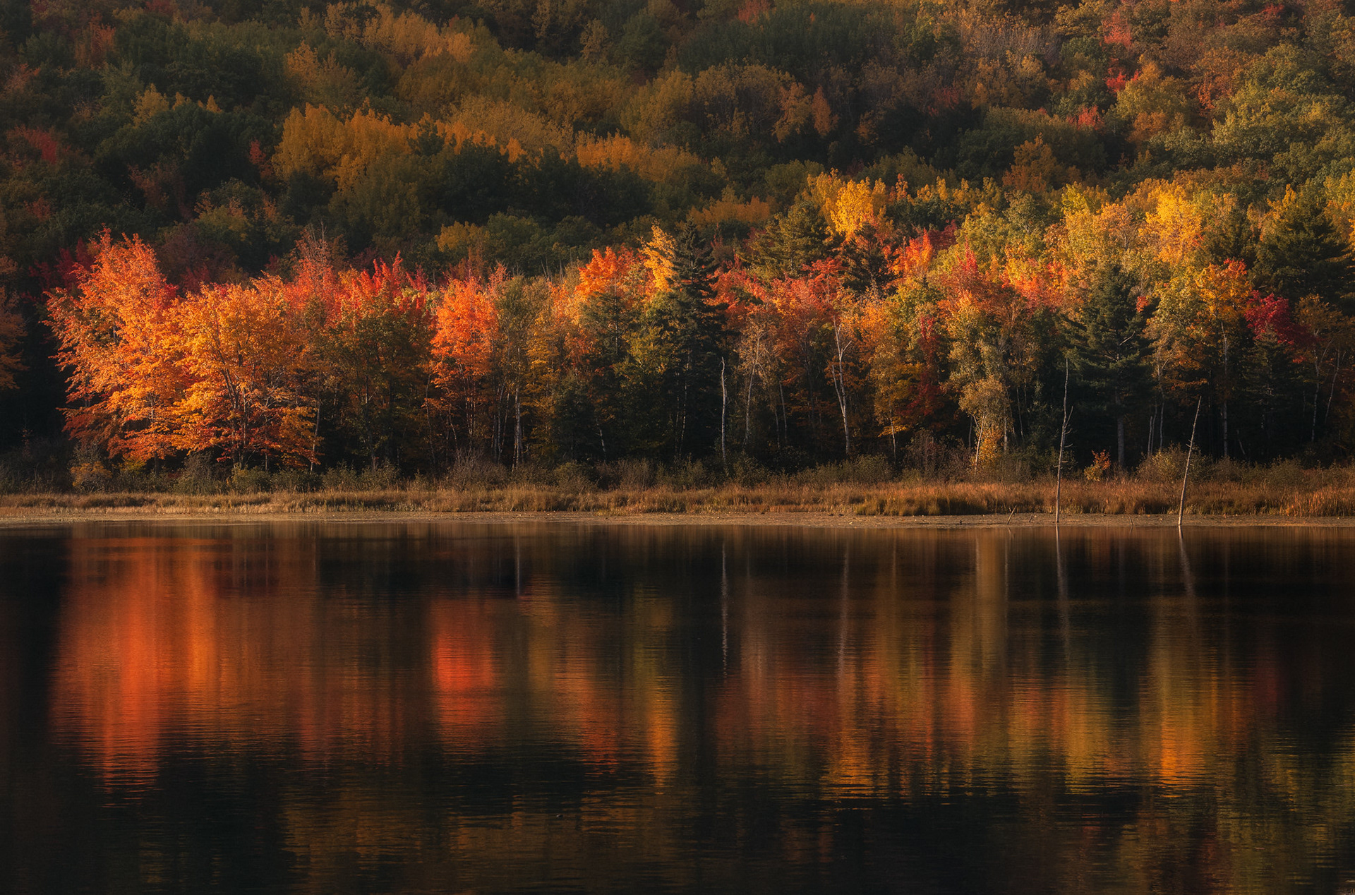 Maine Color