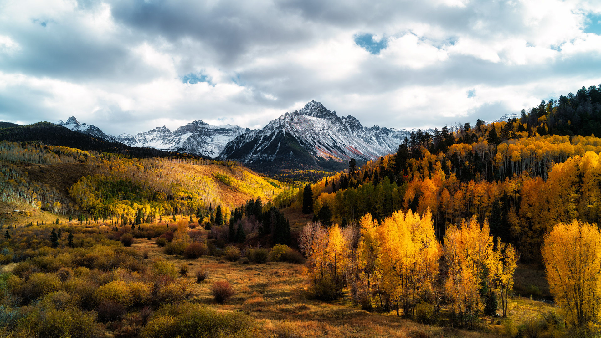 Colorado Fall Color