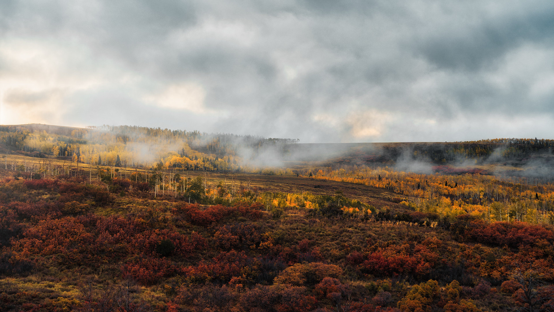 Colorado Fall Colors