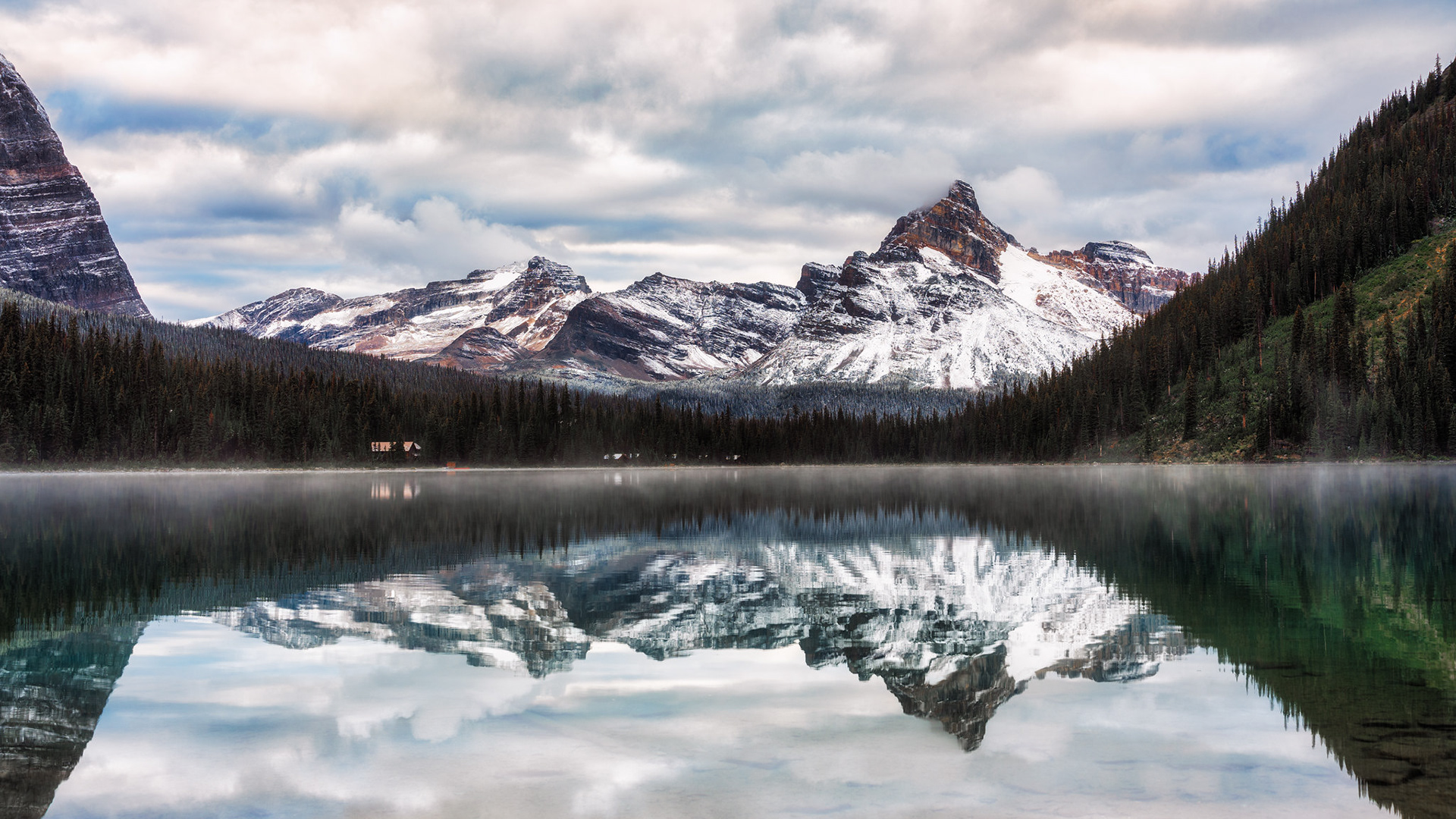 Peaceful View