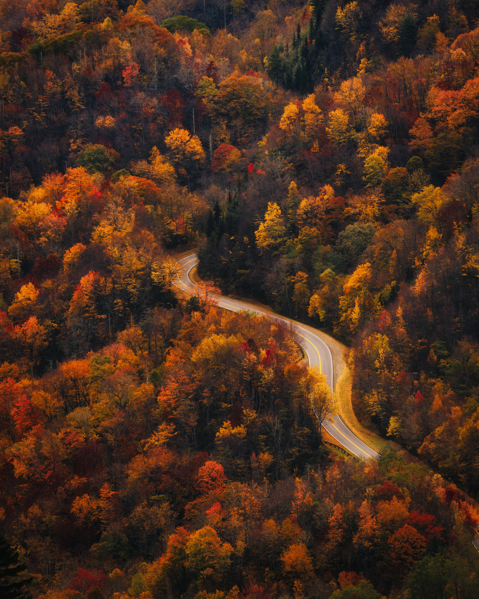 Road thru Color