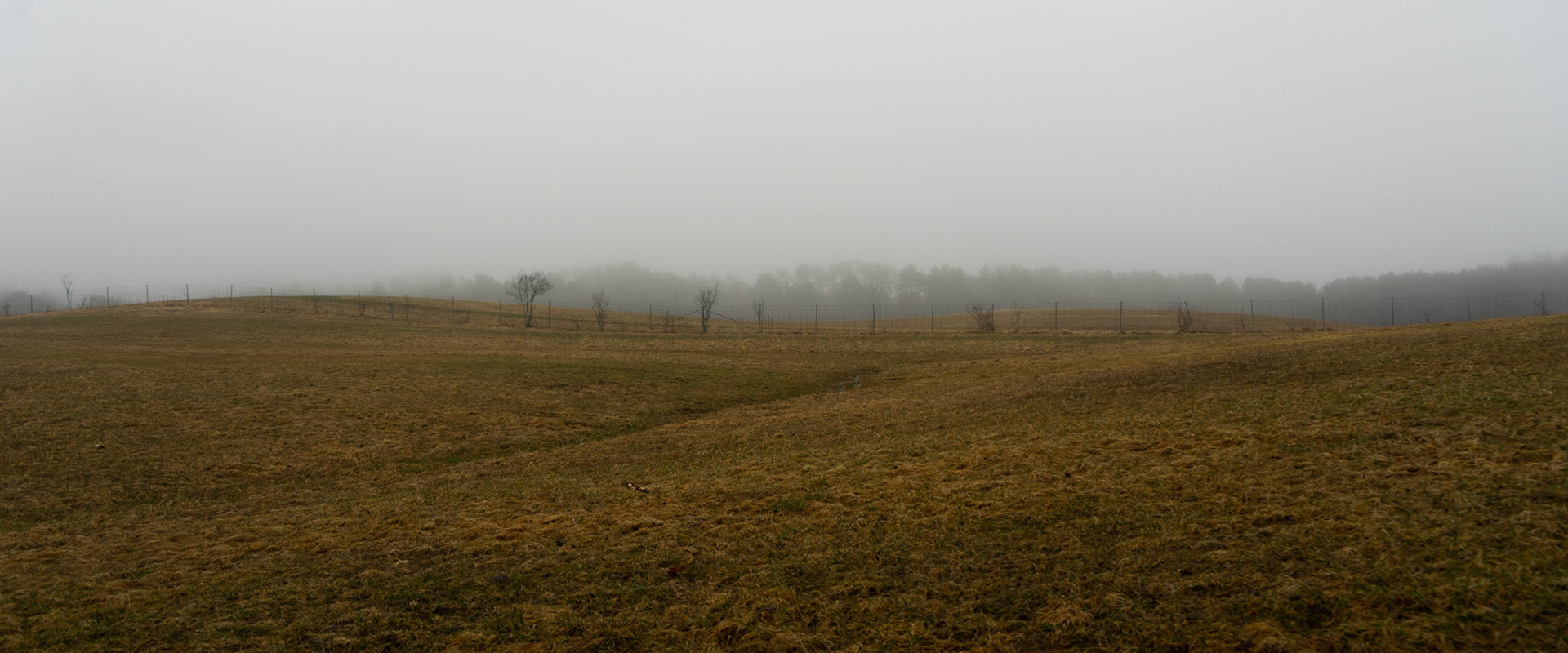Fog