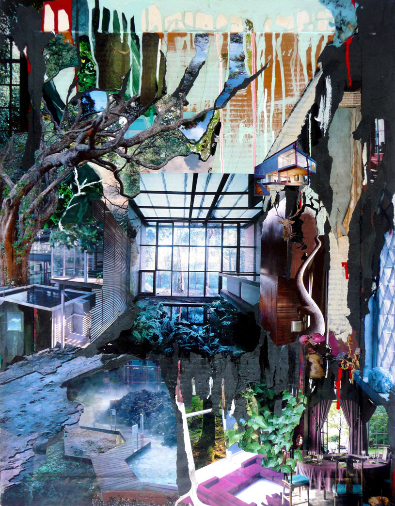 growing through the cracks 