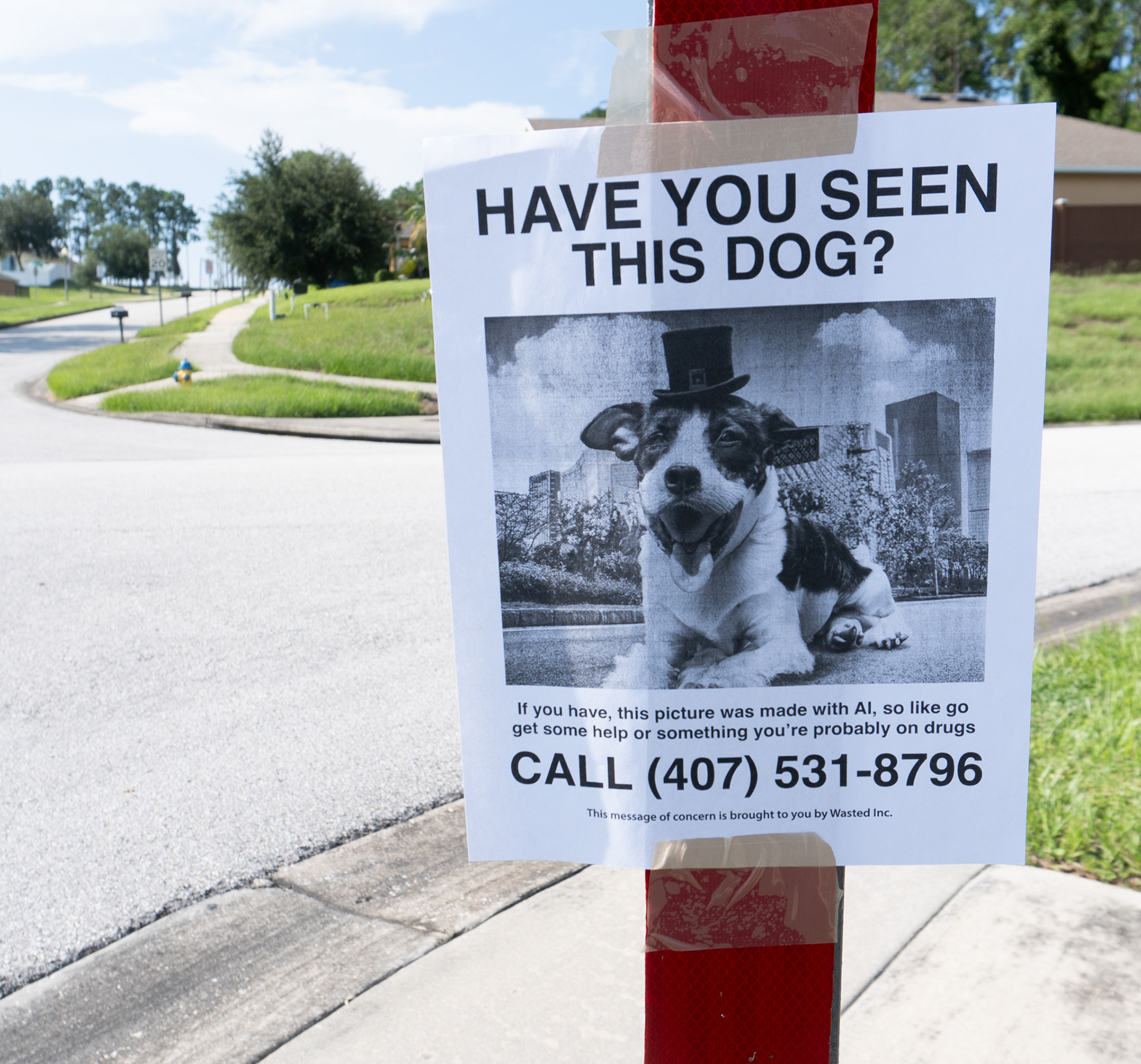 lost dog poster by austin taylor graphic designer artist of wasted inc