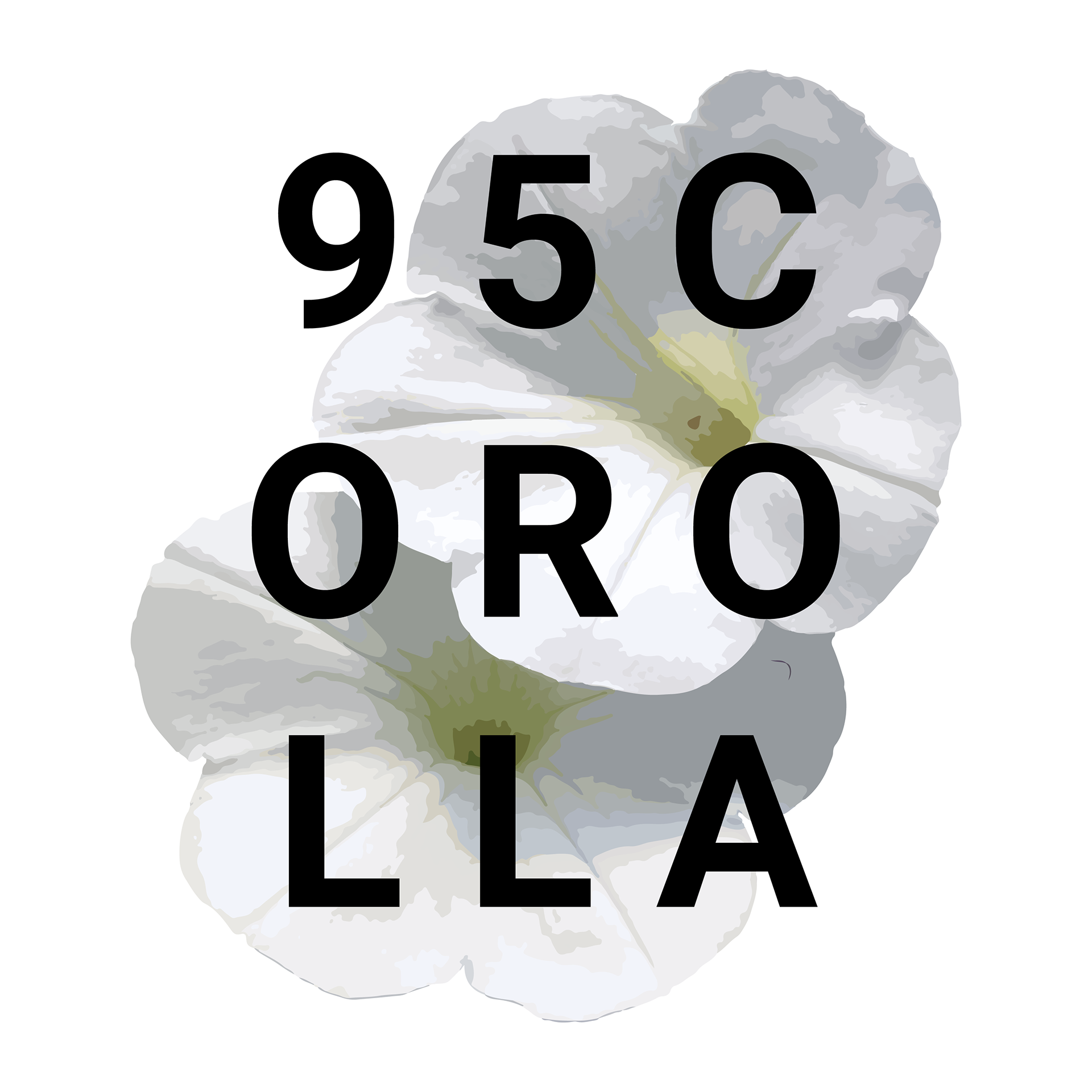 Corolla also means flower petal, so I leaned into that with the next two designs.