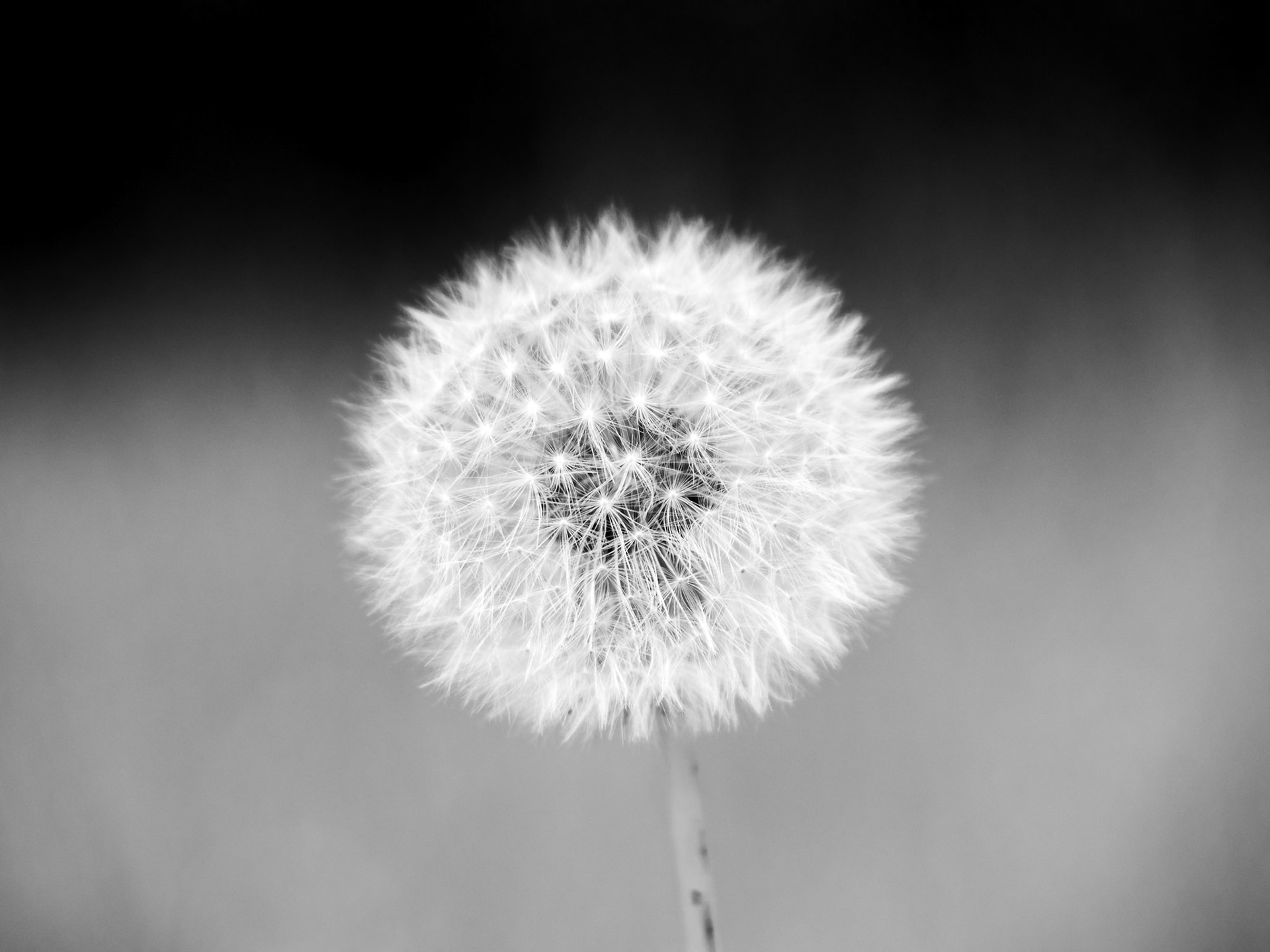 OM-5 | 14-150mm F 4.0-5.6 II