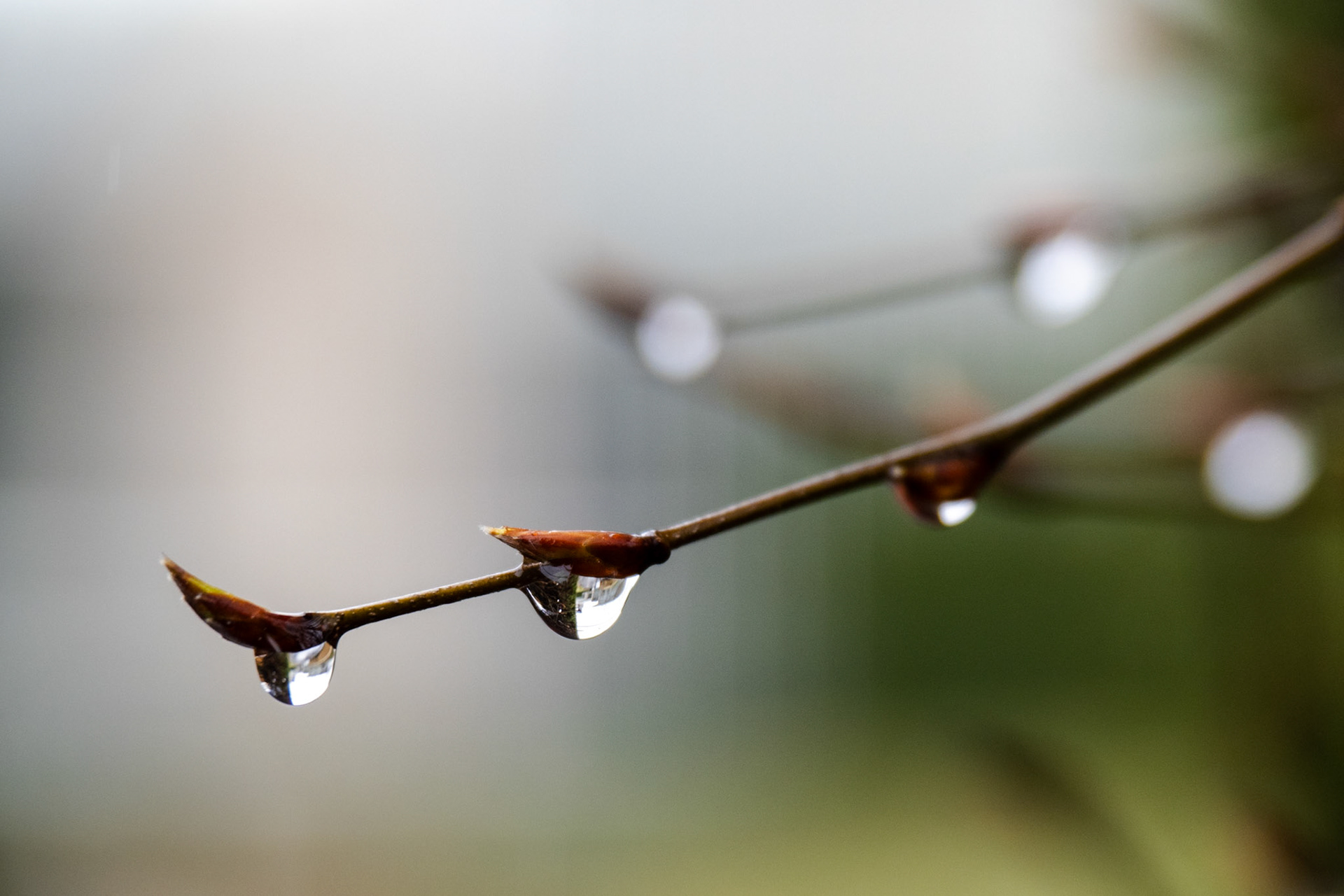 OM-5 | 14-150mm F 4.0-5.6 II
