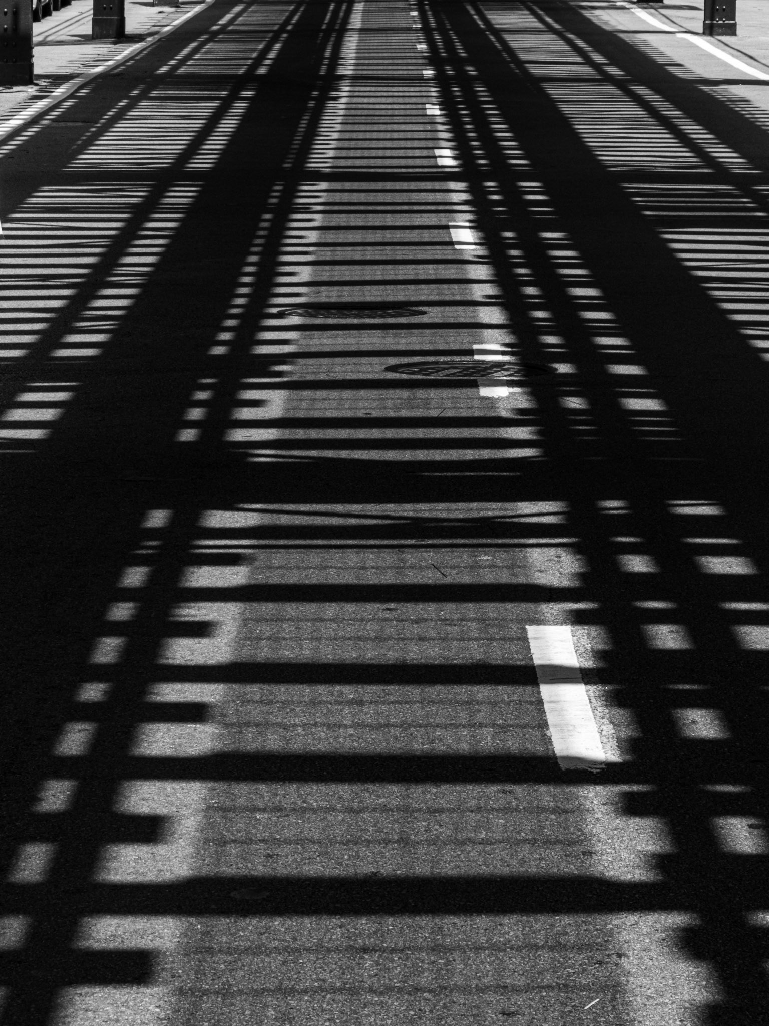 OM-5 | 14-150mm F 4.0-5.6 II