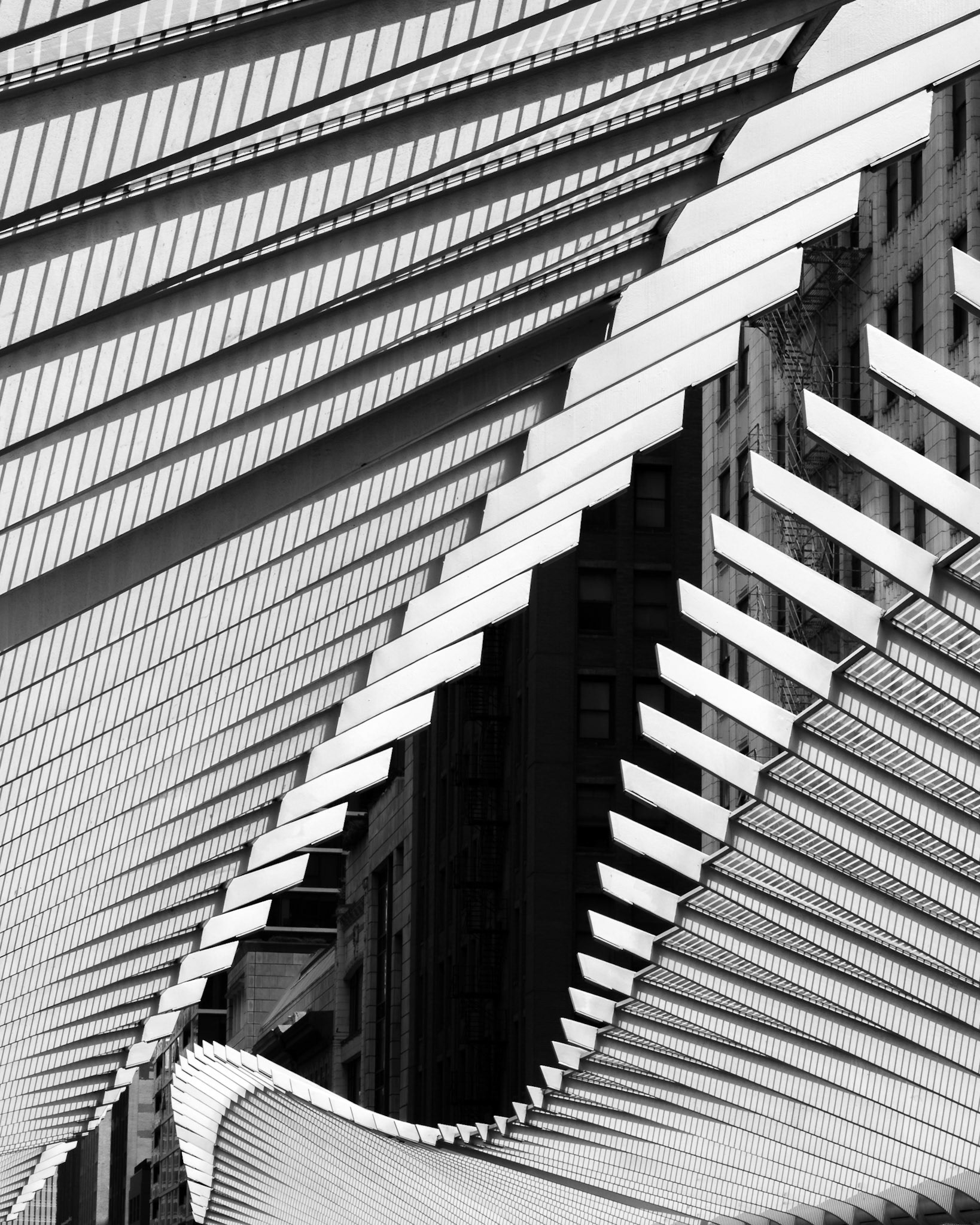 OM-5 | 14-150mm F 4.0-5.6 II