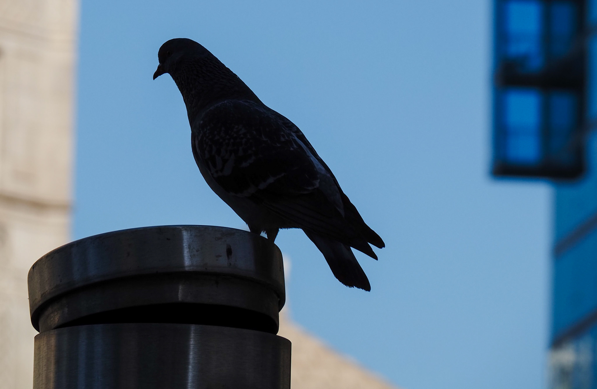OM-5 | 14-150mm F 4.0-5.6 II