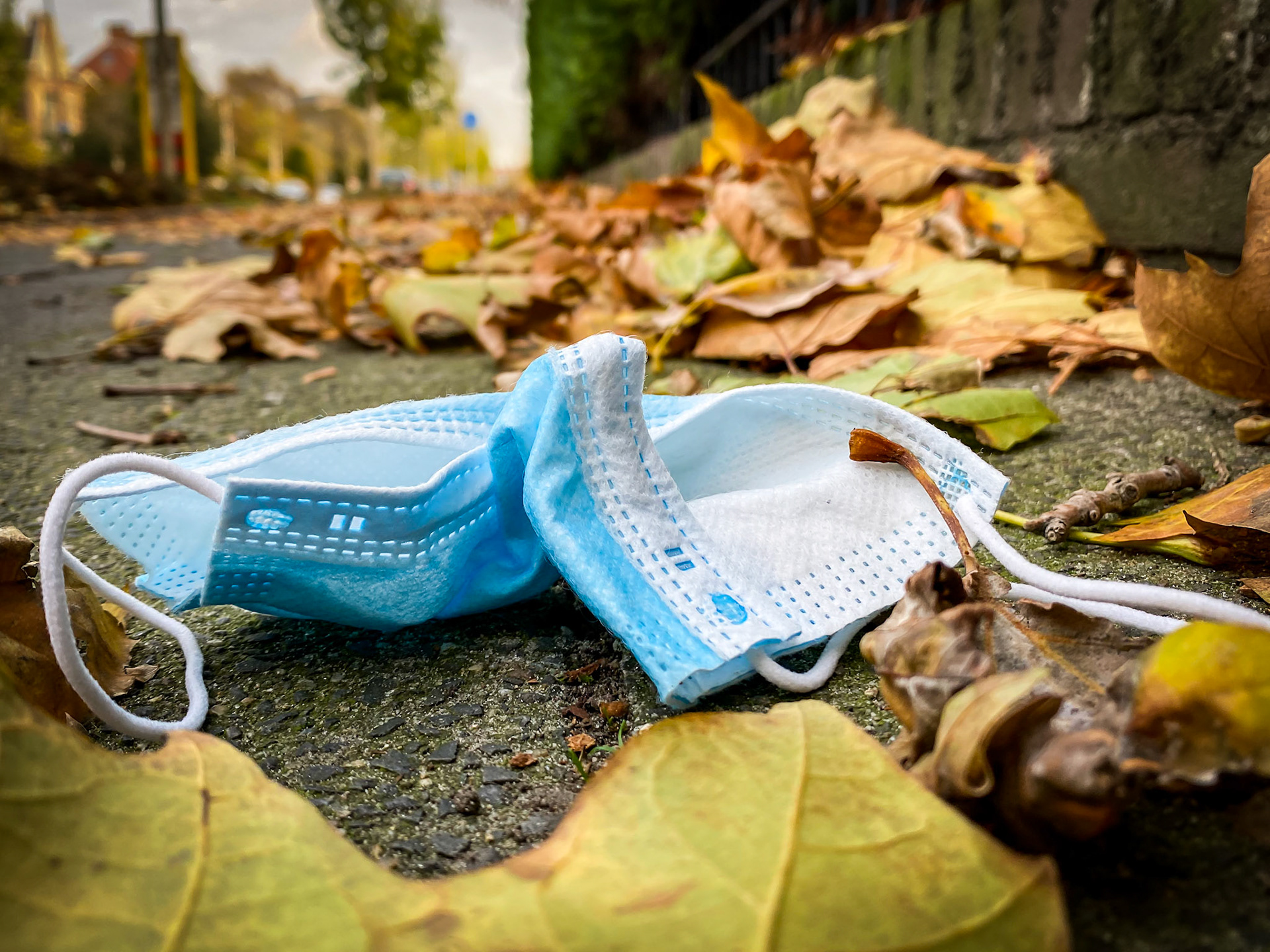 Dag 156: Herfst #corona2020