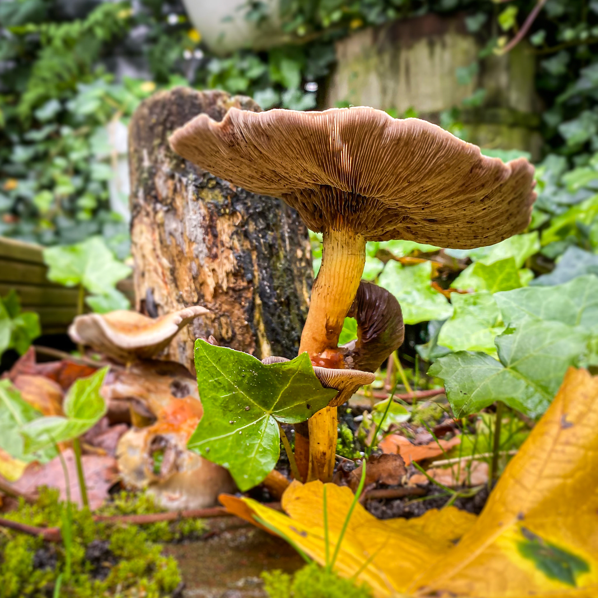 Dag -230: #naturerules