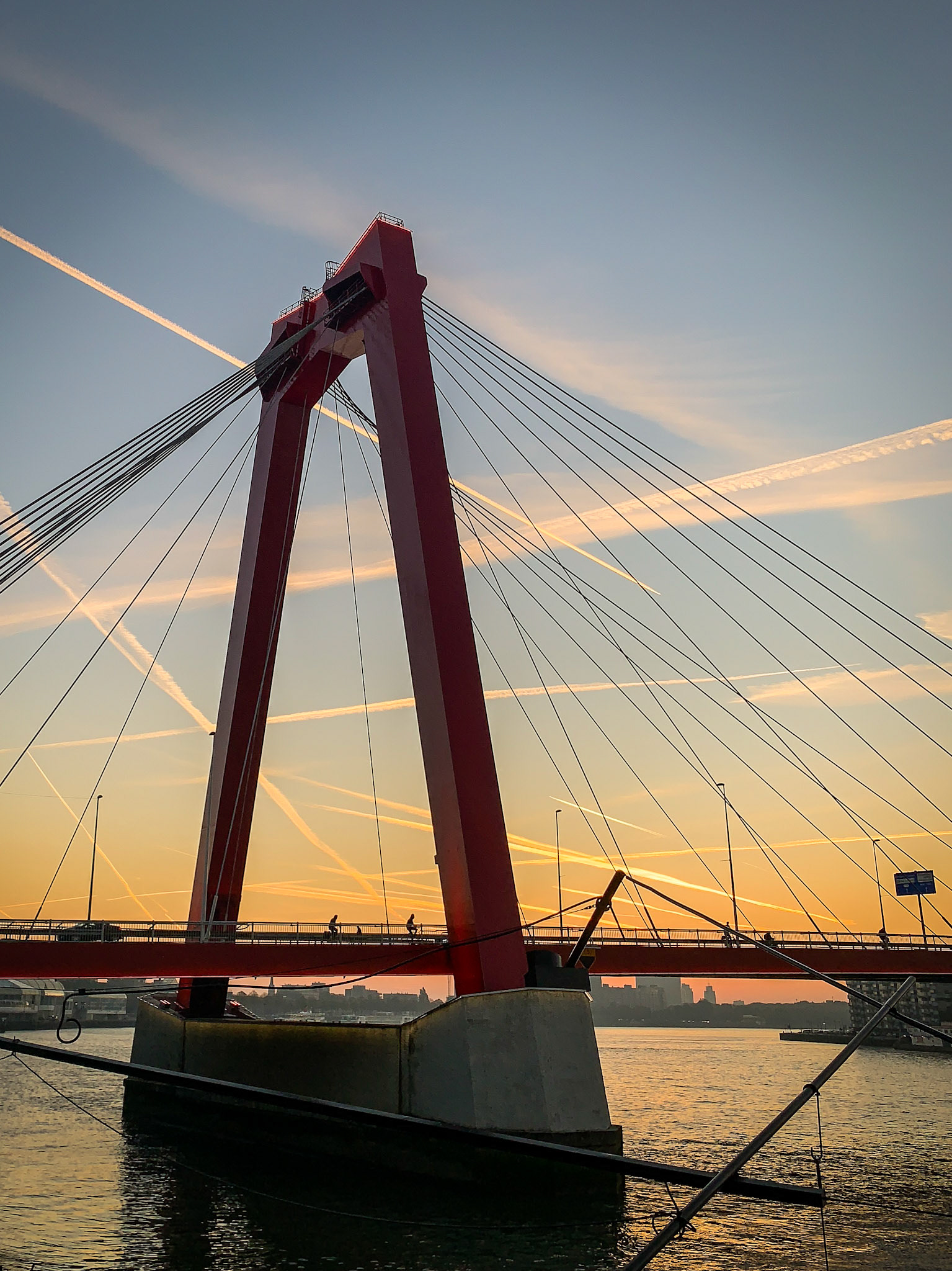 Dag -611: 1e foto met mijn nieuwe speeltje (iPhone Xs) Fietsen naar je werk heeft zijn voordelen.