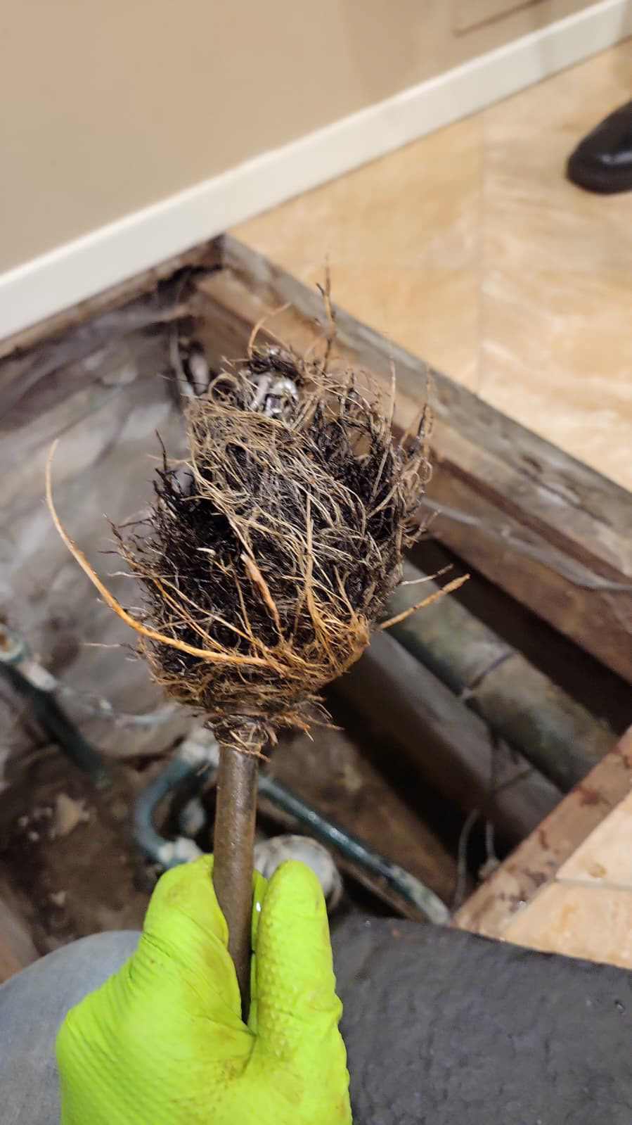 Drain Cleaning